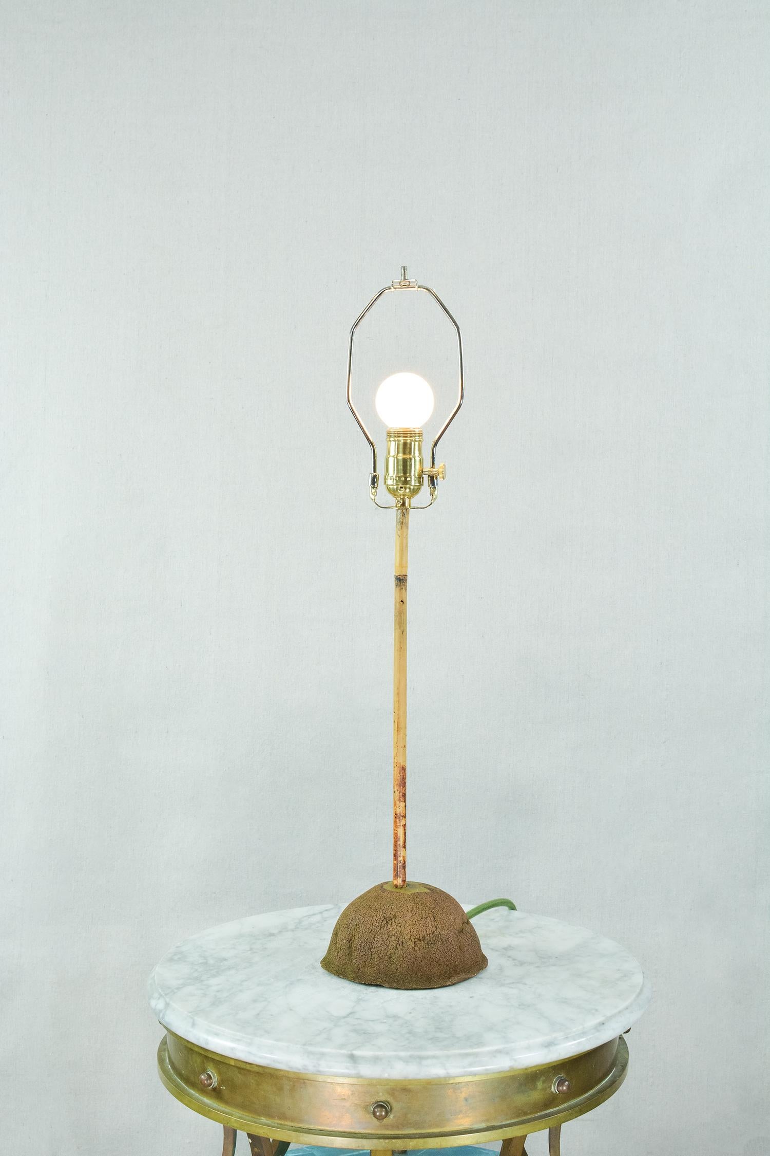 Organic Modern 'Prairie Modern' Bamboo Table Lamp with Coconut Base and Parasol Shade, In Stock