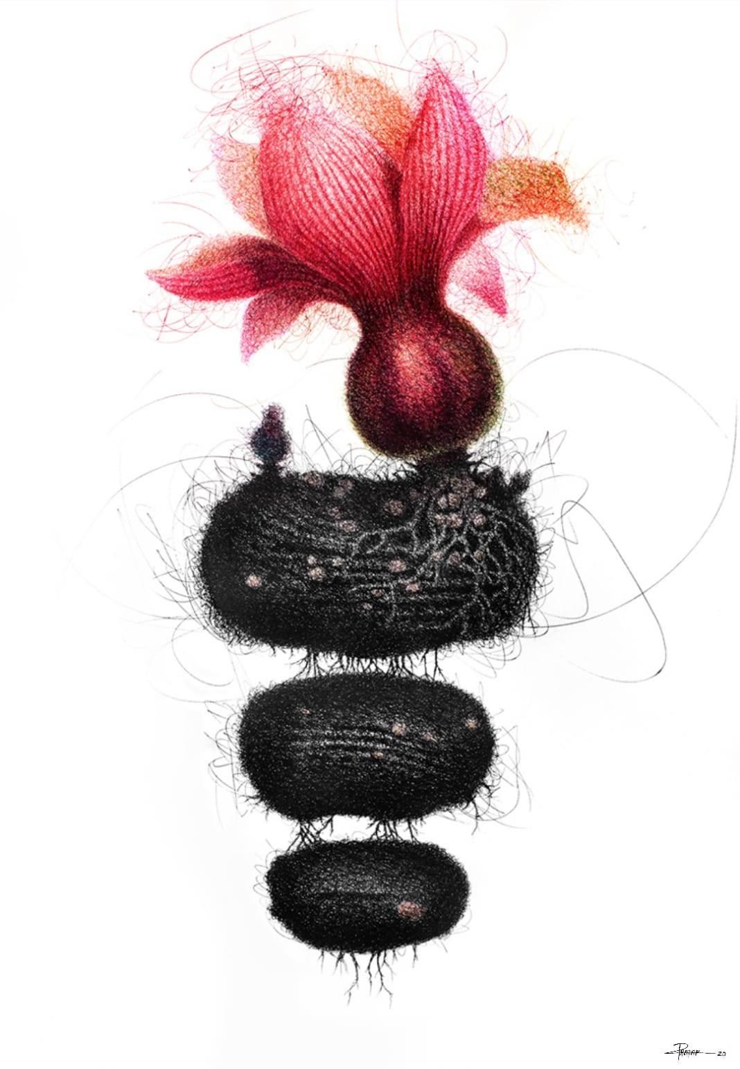 The Roots of Soul, Pen & Ink on Paper, Red Pink by Contemporary Artist“In Stock”