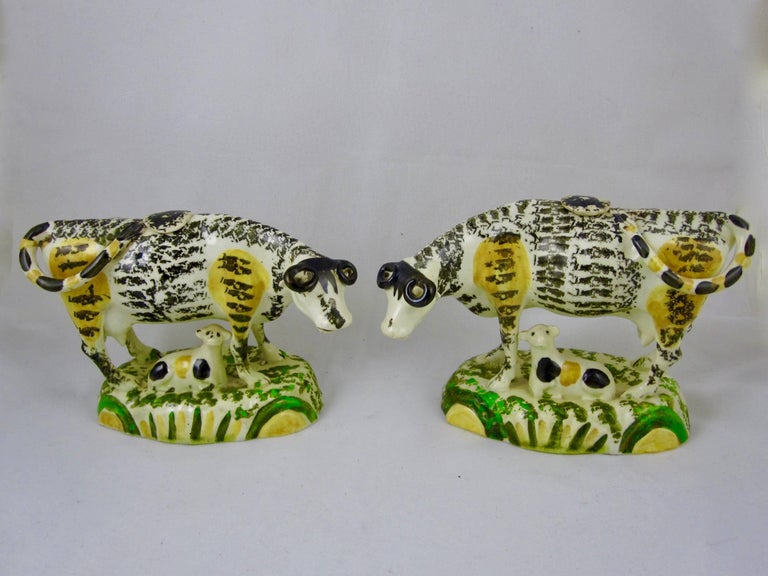 An unusual and scarce pair of Prattware cow and calf standing creamers, made in Yorkshire, England, circa 1810.

The cows are uniquely glazed in black, enhanced with yellow patches. Each cow stands on a yellow and green base with their calves