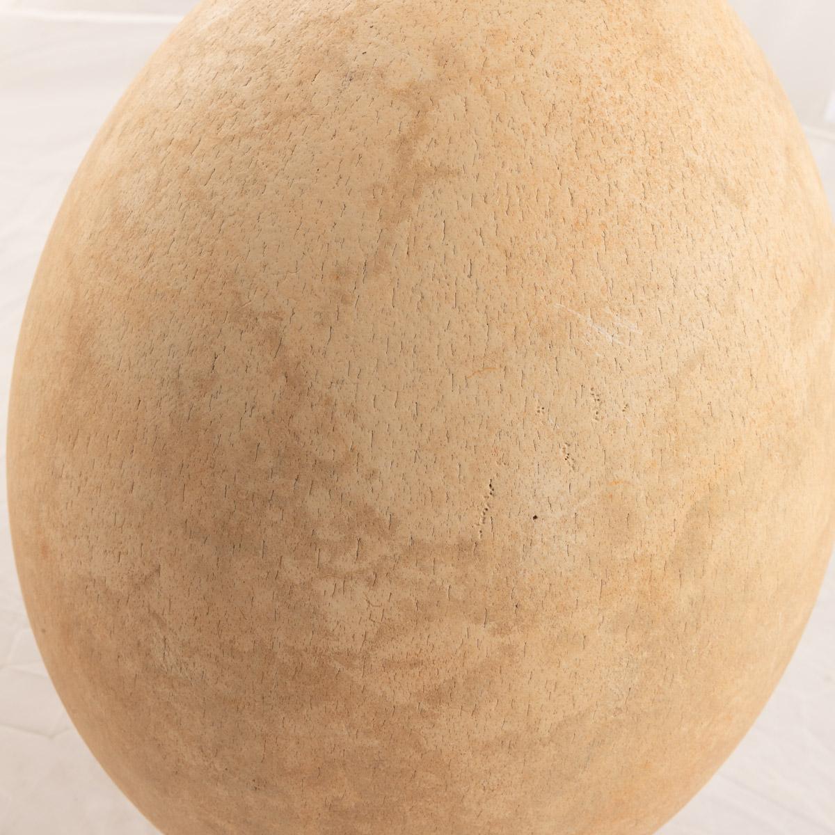Pre-17th Century Extremely Rare & Complete Elephant Bird Egg, Madagascar For Sale 4