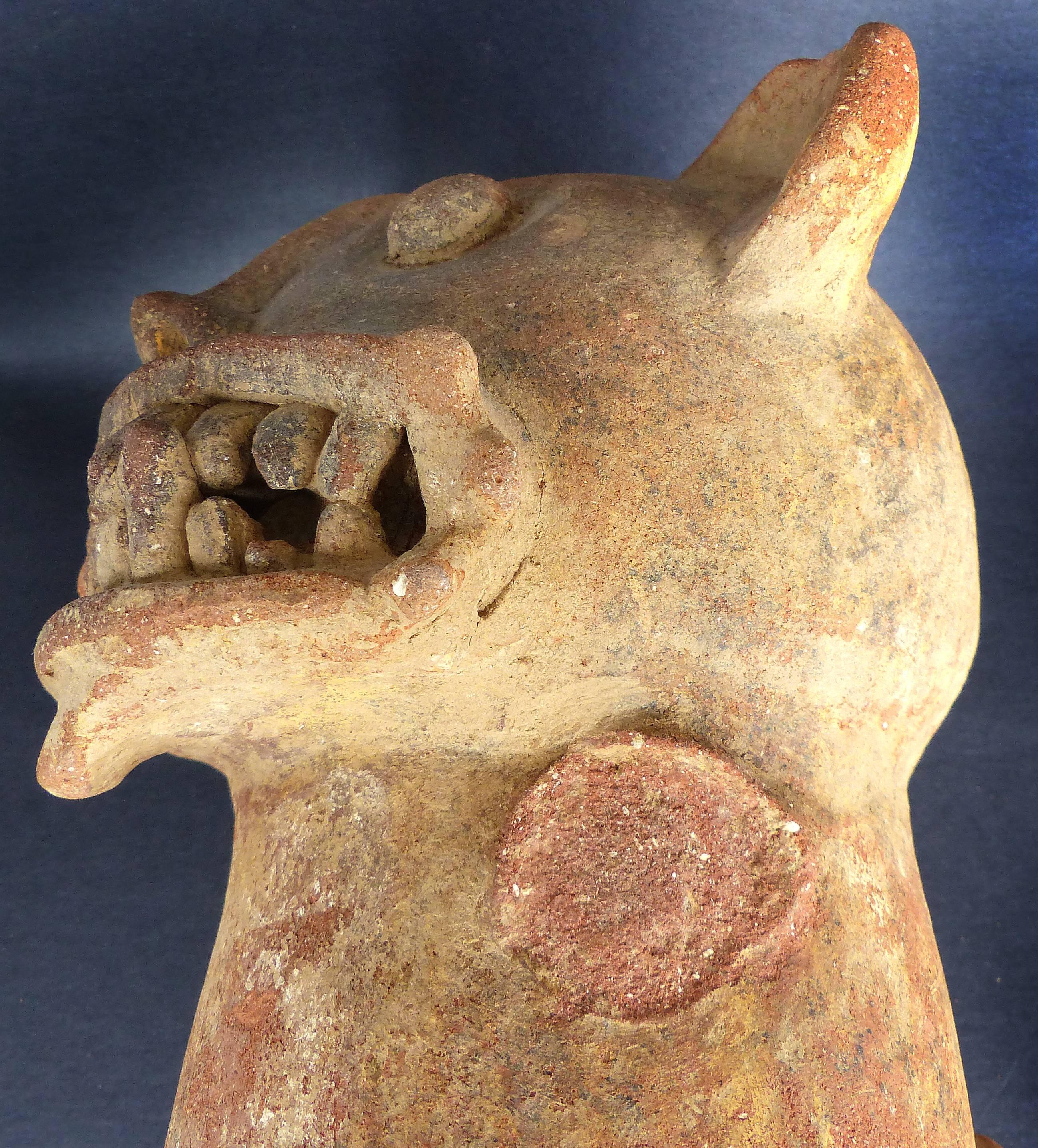 Pre-Colombian Grotesque Animal Terracotta Figure 5