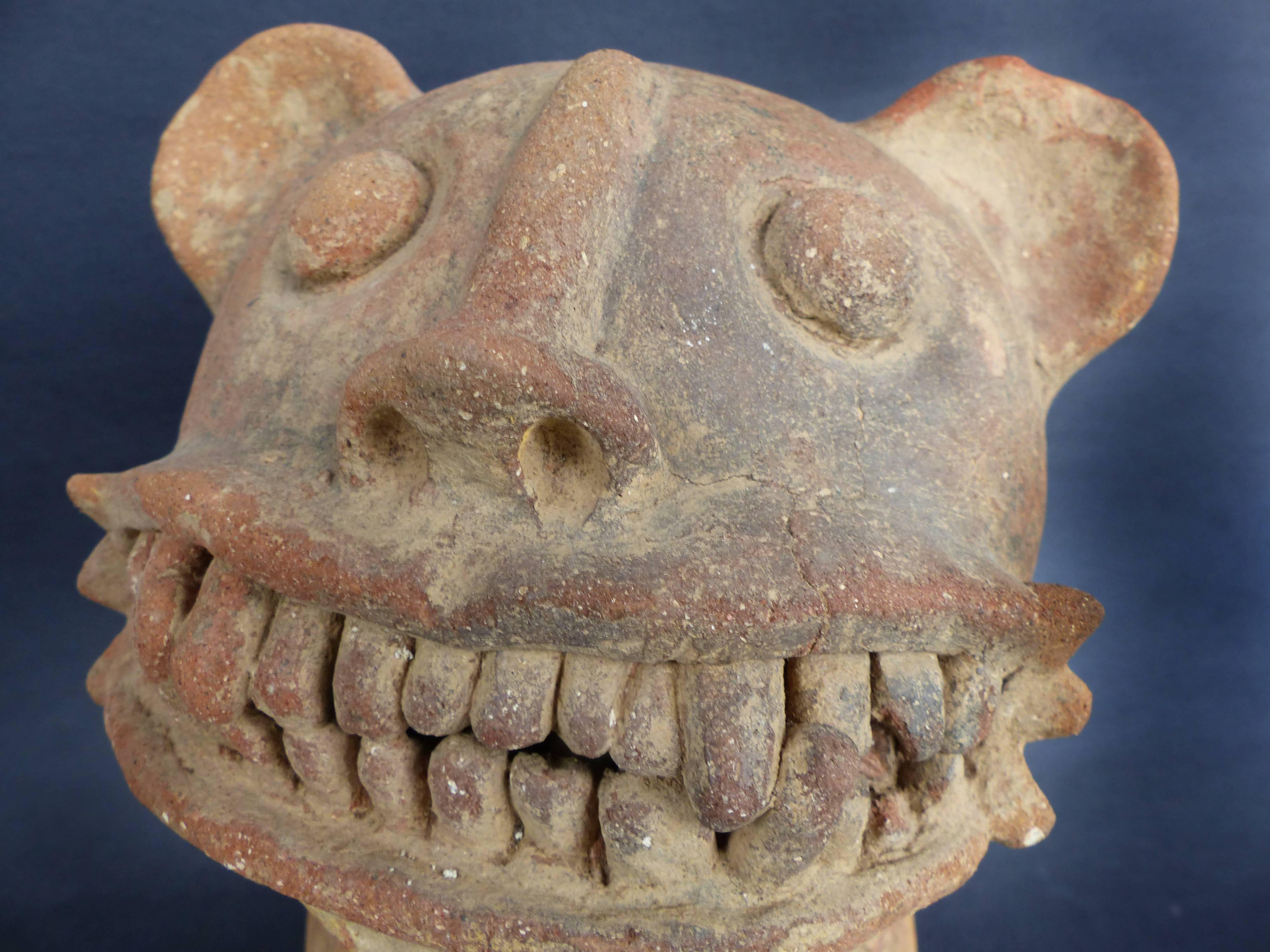 Pre-Colombian Grotesque Animal Terracotta Figure In Good Condition In Miami, FL