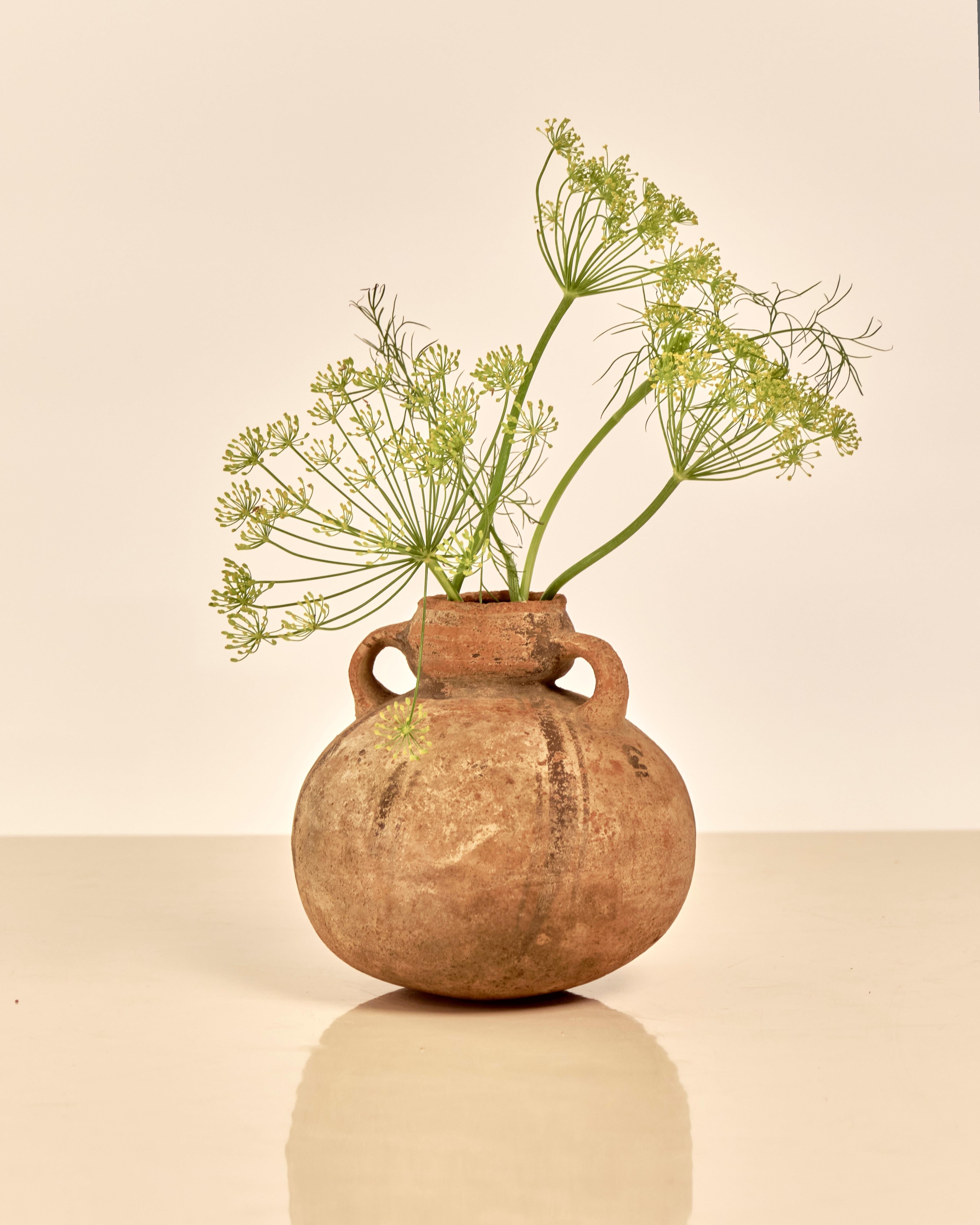 Tra l'800 e il 1476 ADS. Perù. Vaso Pre-Columbian a forma di zucca della Cultura Chancay con manico a doppio anello. Dettaglio a strisce verticali nere e marroni sbiadite sul corpo della nave. 