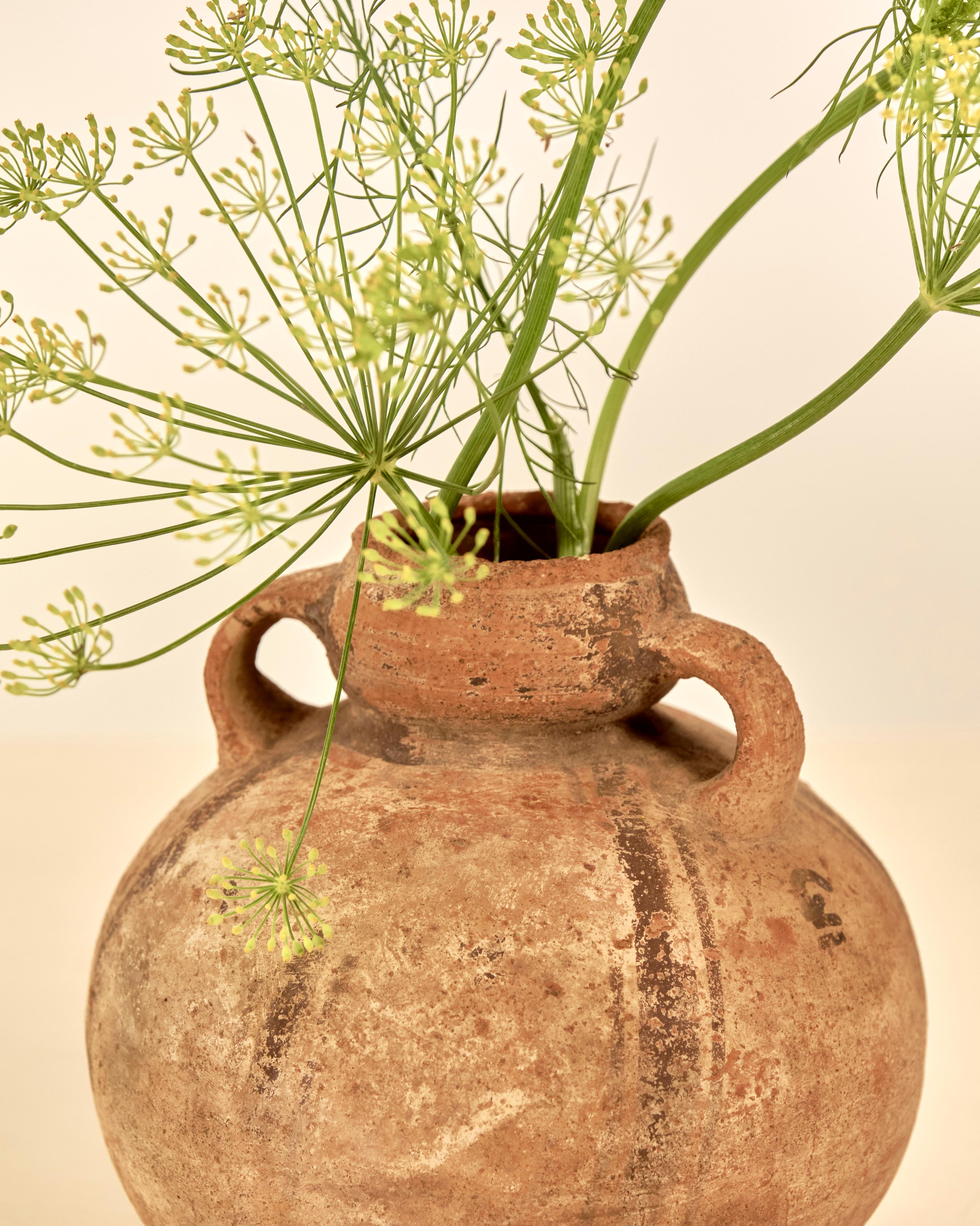 Peruviano Vaso in ceramica Pre-Columbian con doppio manico a nastro della Cultura Chancay in vendita