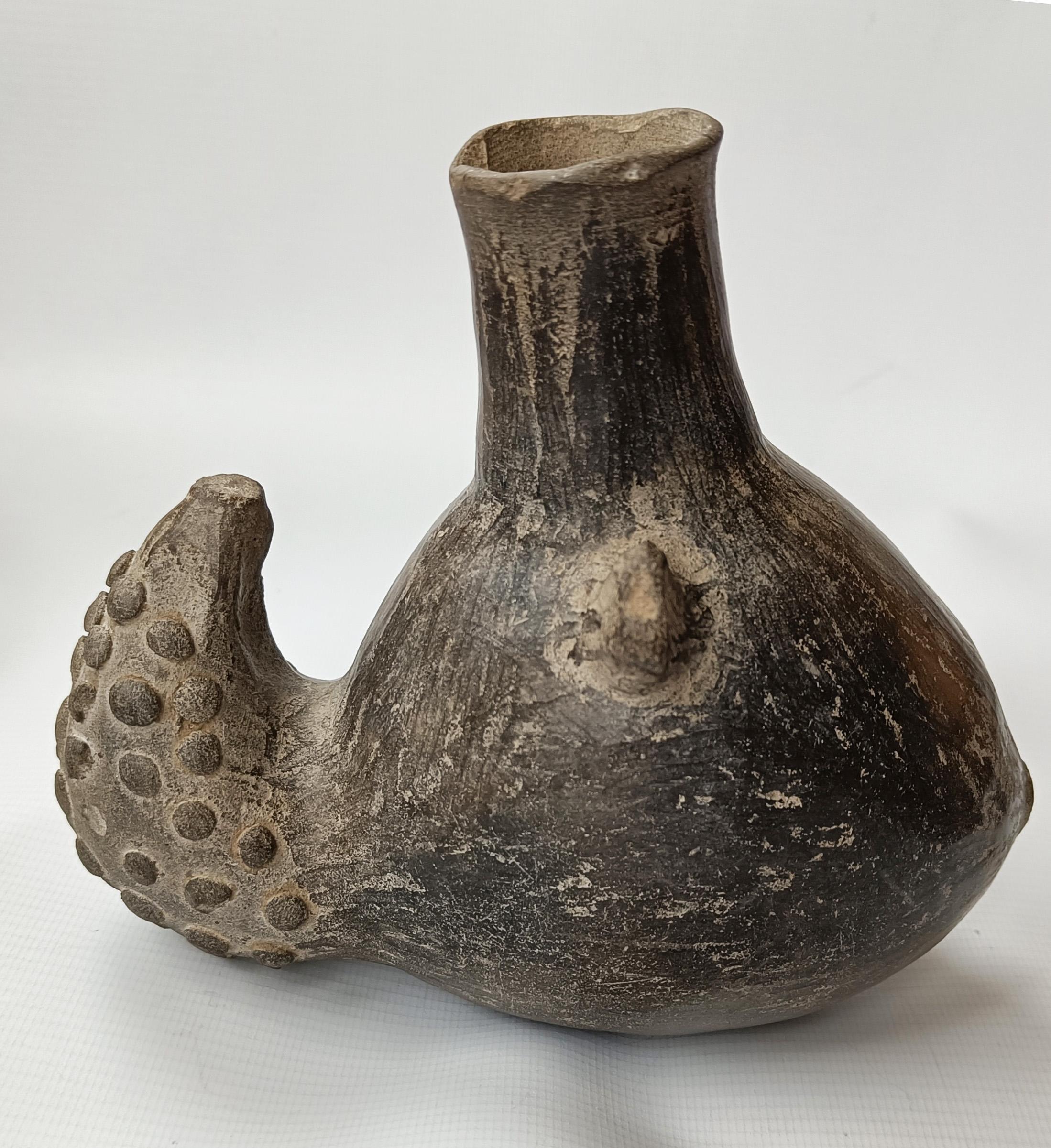 A Pre Columbian Chimu grey ware bottle type vessel of a armadillo emerging from a pumpkin or gourd with a small baby armadillo on the upper side under the spout and a plaited stirrup handle on the other side. highlighting the principle of duality