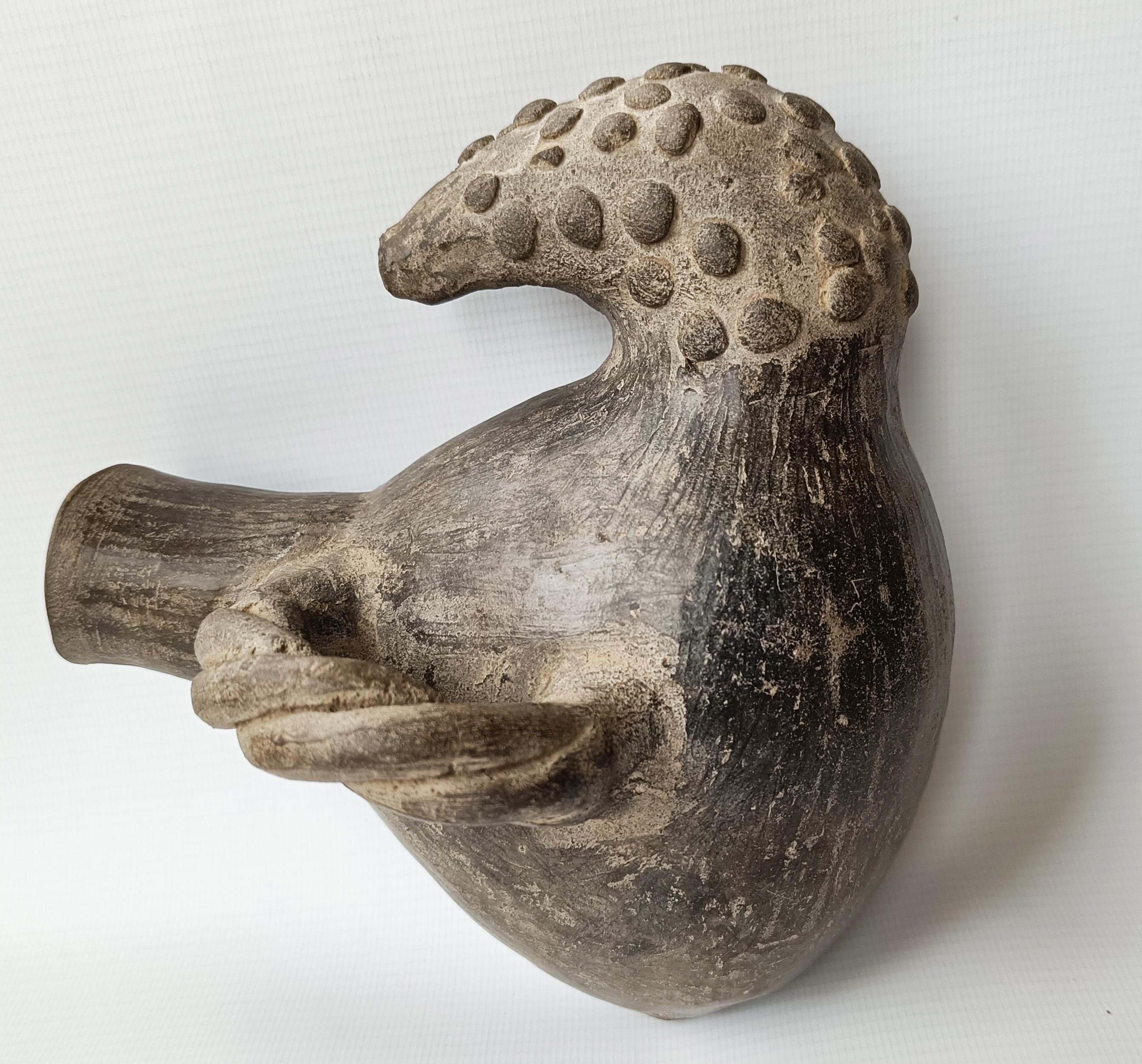 Fait main Pre-Columbian Chimu Vaisseau aviaire ancienne Amérique du Sud Circa 10 -15th century ADS en vente