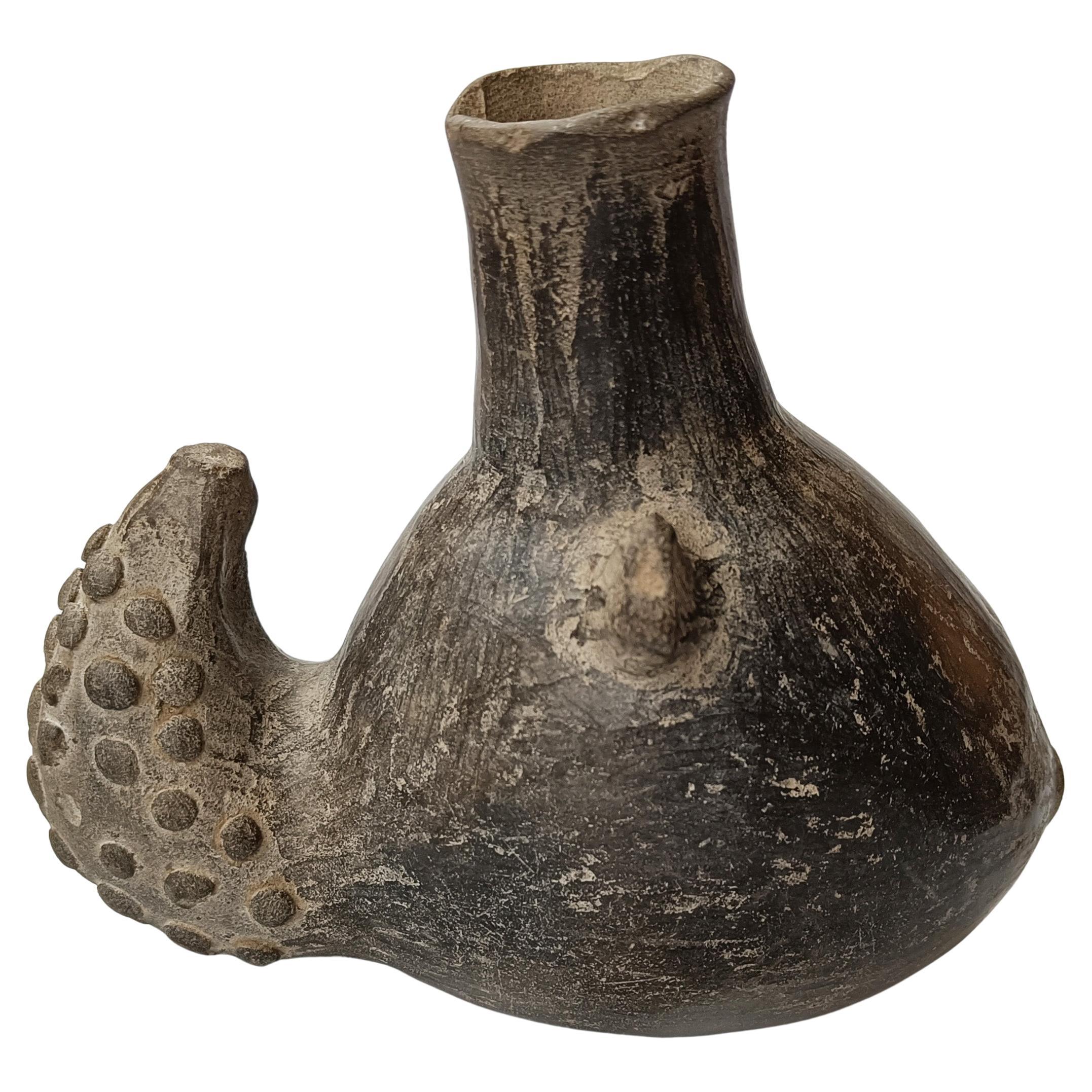Vaso precolombino Chimú Aviario América del Sur antigua Circa 10 - siglo XV d.C.