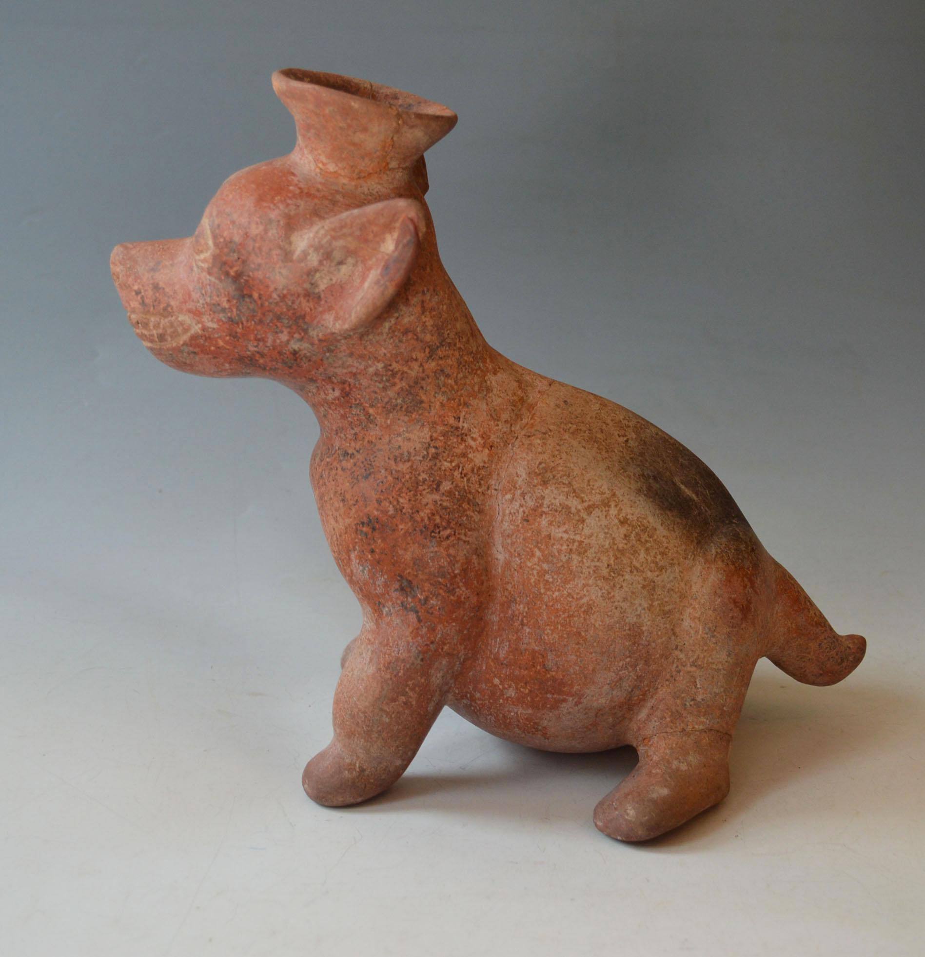 Pre Columbian Colima Dog Ancient West Mexico

Pre-Columbian, West Mexico, Colima Ancient Mexico C 200 BC –400 AD

A attractive seated Colima dog vessel with a flared spout on the head  .

Height 27 cm 10.5 inches length 32 cm 11 inches

Condition: