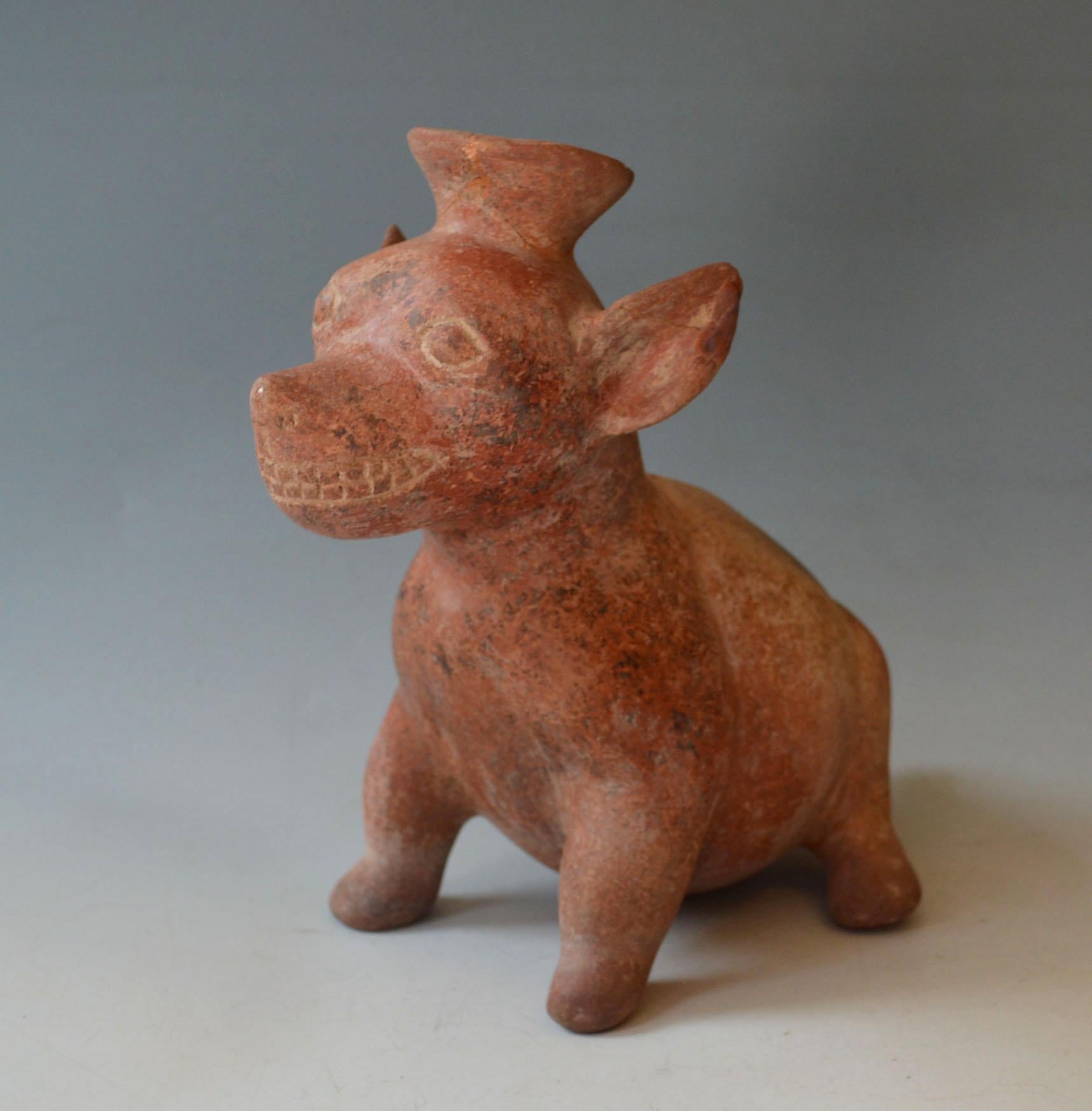 Präkolumbianischer Colima-Huhn Antikes West Mexico Lateinamerikanische Antiquitäten Kunst (Mexikanisch) im Angebot