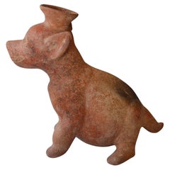 Ancien chien de Colima précolombien du Mexique occidental, antiquités d'Amérique latine
