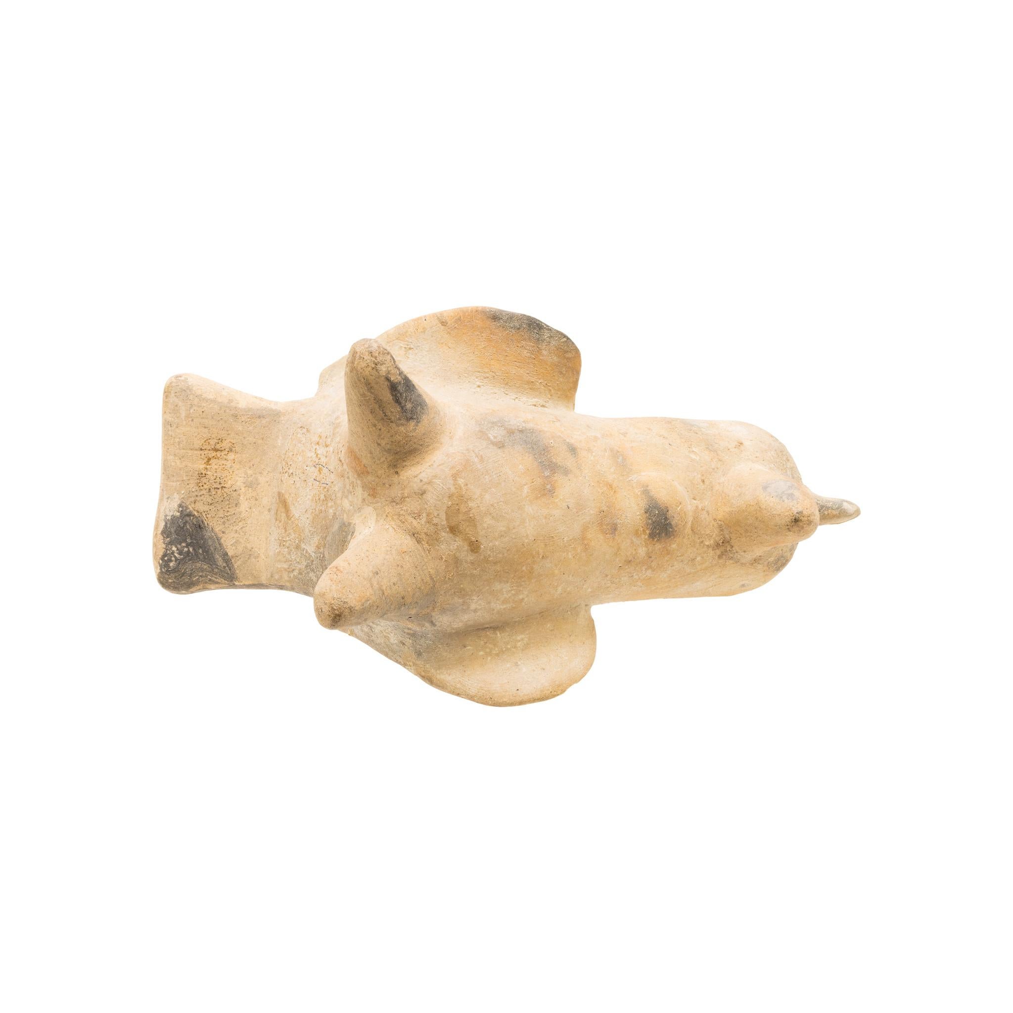 Poterie de Colima Vase à oiseaux. Ébréchure à l'arrière du peigne et des ailes. Culture Colima datant de 300 avant J.-C. à 300 après J.-C. 4