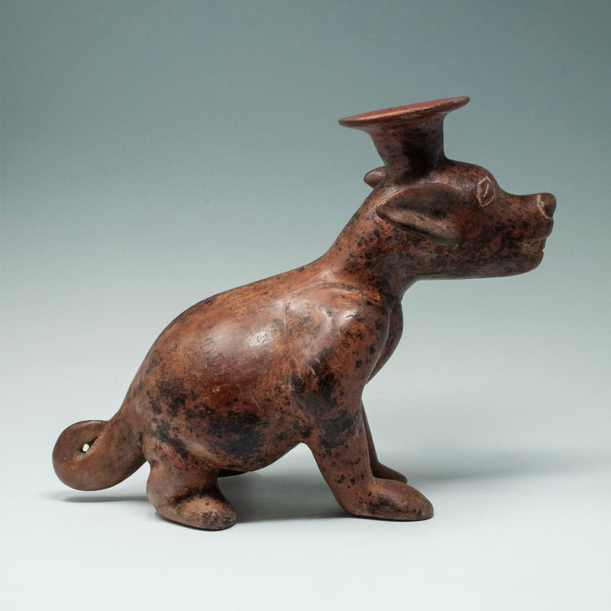 Precolombiano Vaso per cani in terracotta Pre-Columbian, Colima, Messico occidentale in vendita