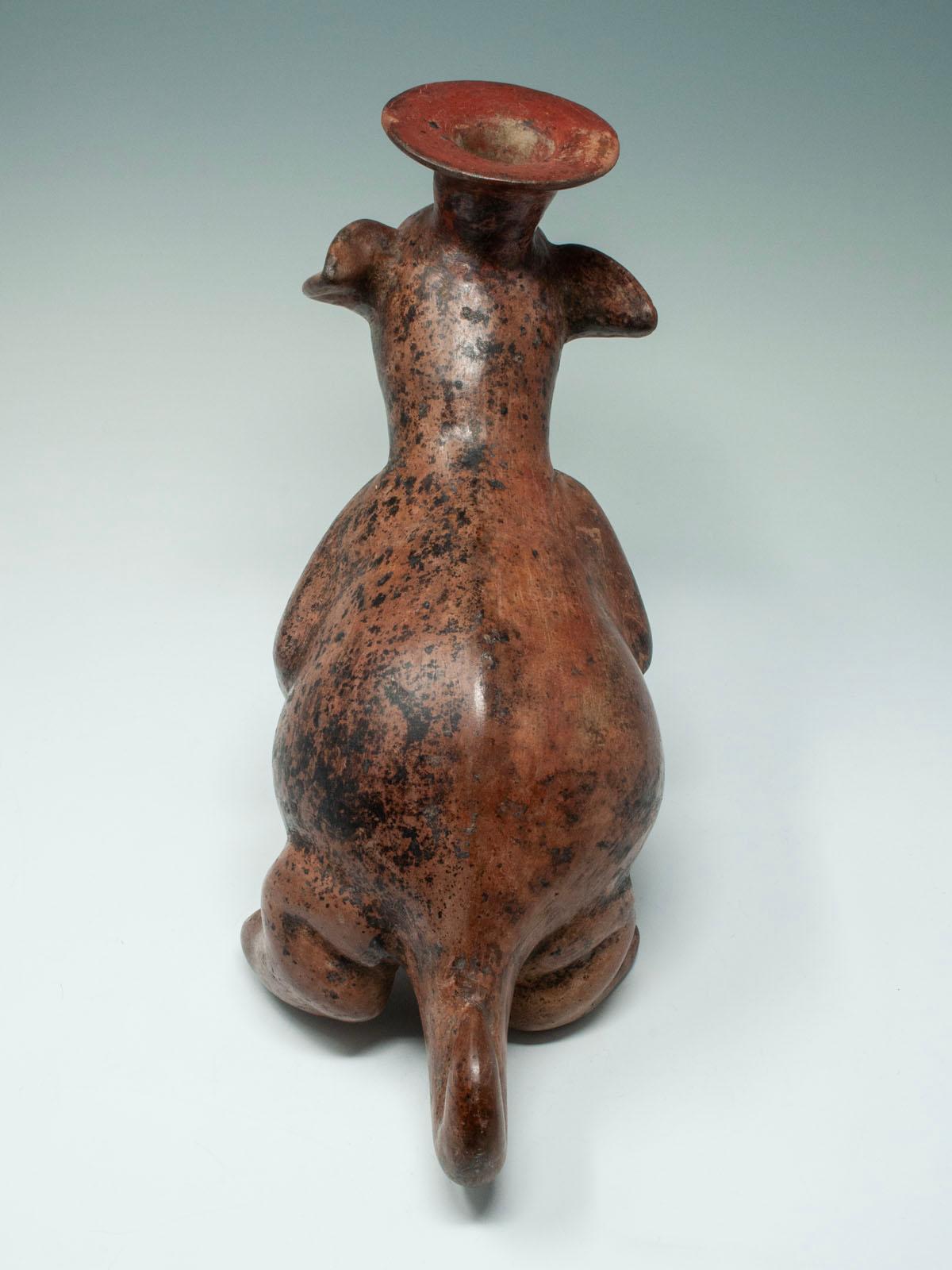 Terracotta Vaso per cani in terracotta Pre-Columbian, Colima, Messico occidentale in vendita