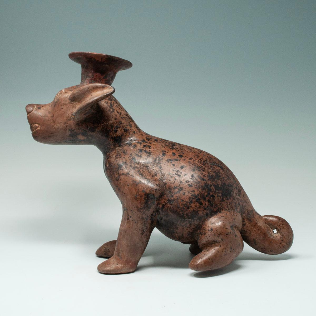 Vaso per cani in terracotta Pre-Columbian, Colima, Messico occidentale in vendita 1