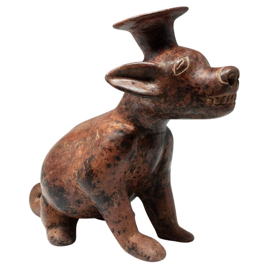 Vaso per cani in terracotta Pre-Columbian, Colima, Messico occidentale in vendita