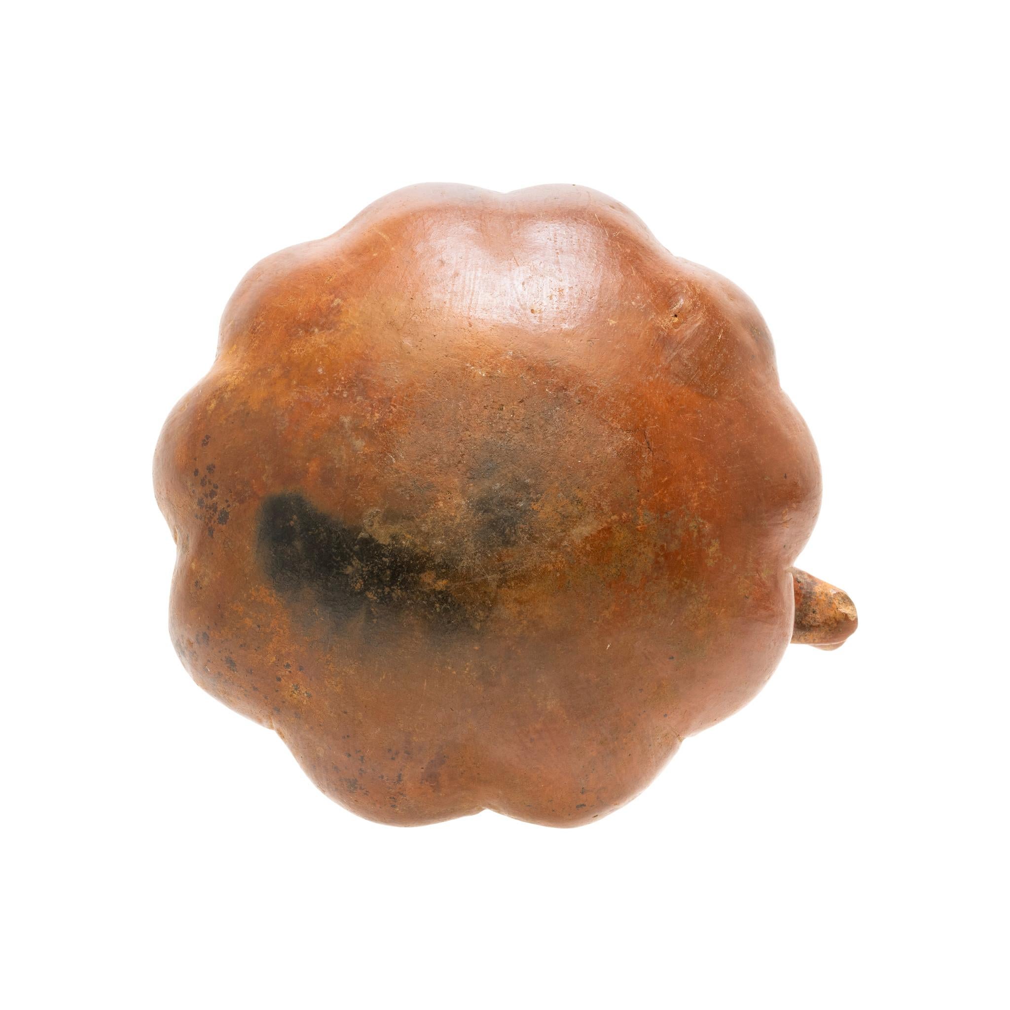 Grande tête de chien en poterie de l'ouest du Mexique. Base lobée avec tête de chien émergeant de l'épaule supérieure du récipient. Ébréchure sur le museau du chien et le bord de la jarre. Daté entre 200 av. J.-C. et 200 ap. J.-C. 7 ¼