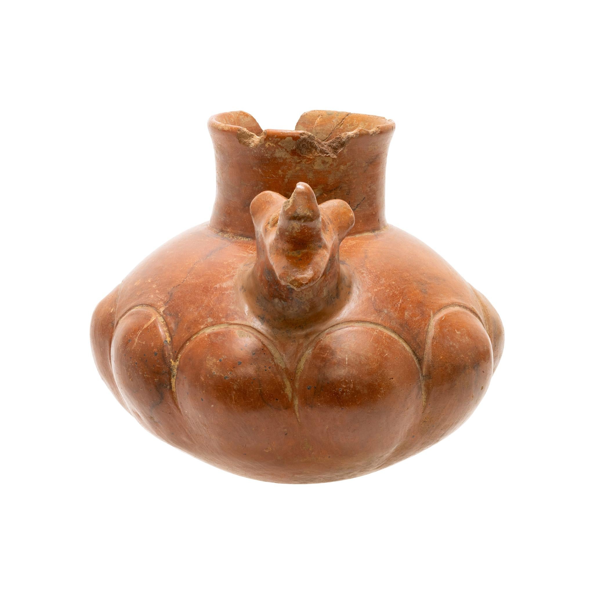 Pre-Columbian Tête de chien en poterie de grande taille en vente 1