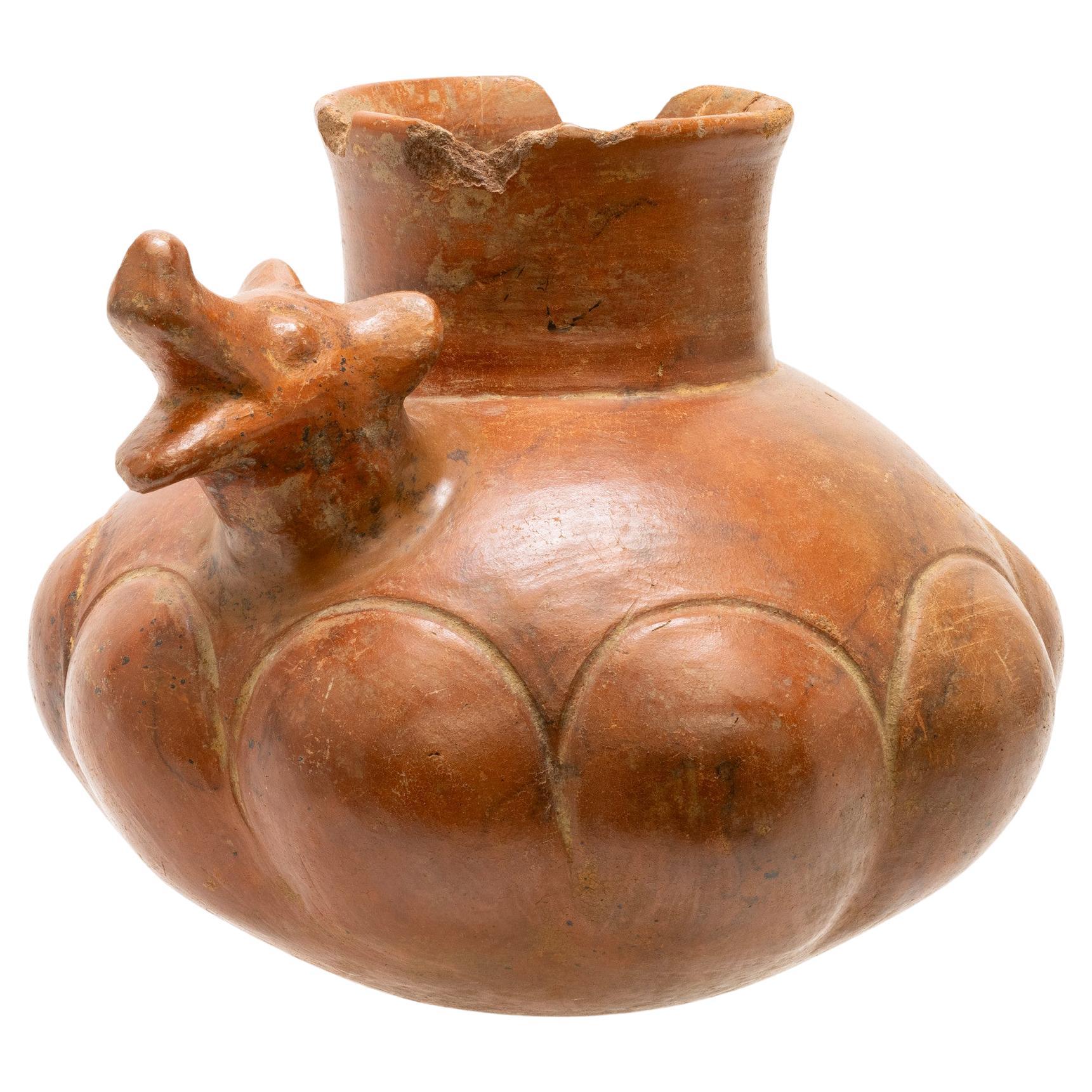 Gran cabeza de perro de cerámica precolombina prehistórica