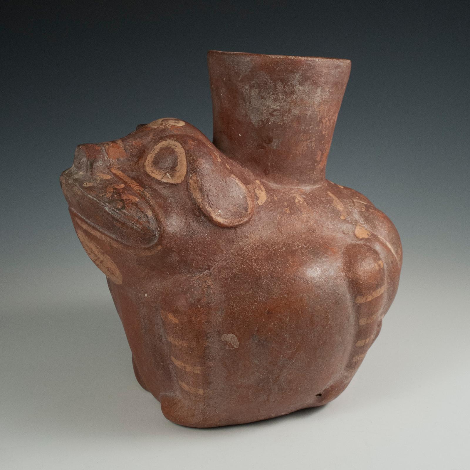 Pre-Columbian terracotta dog/frog vessel Huari/Moche culture, North Coast Peru

A shape-shifting crouching dog/frog in reddish brown and cream painted earthenware with a flared mouth rising from the center of the back. Unusual is the rear view,