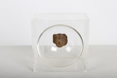Pre-Columbian Terracotta Pottery Head Fragment in MCM Lucite Convex Box Display