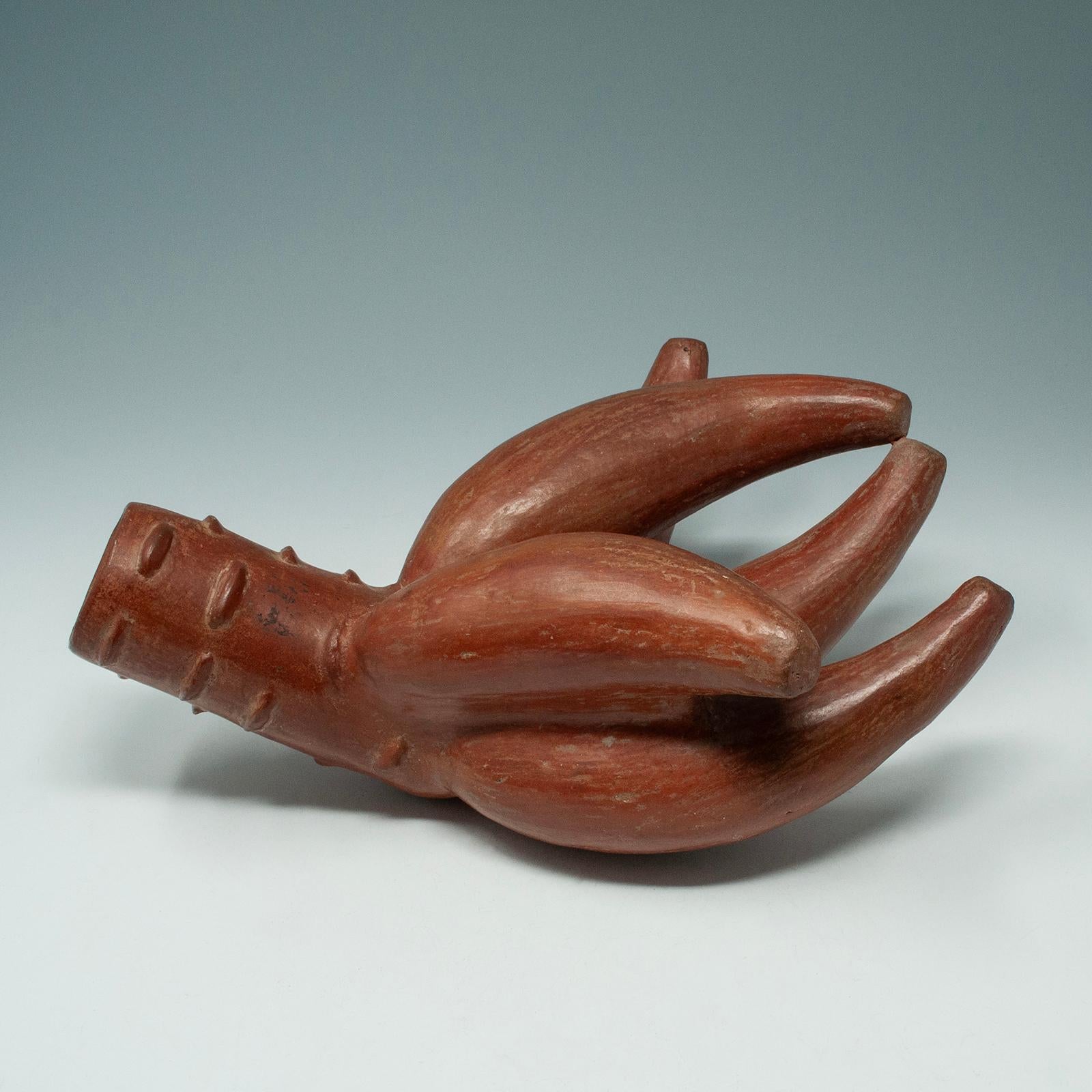 Vasija precolombina de terracota, cultura Moche, Perú

Maravillosa vasija del pueblo moche con forma de raíz de ñame o yuca (mandioca). Un par de puntas están desgastadas, pero es una delicia visual desde todos los ángulos.
4,5 por 9,5 pulgadas y