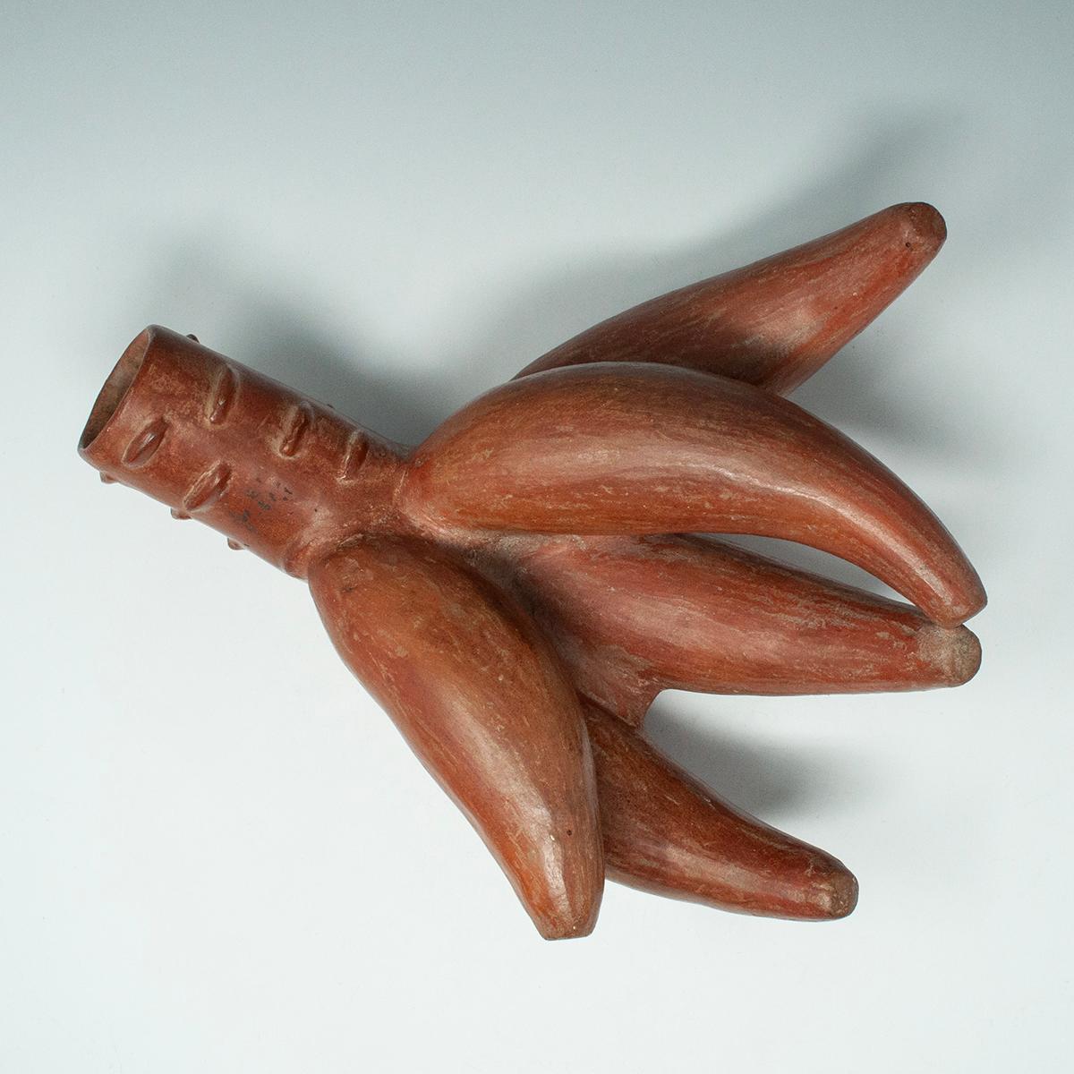 Vasija precolombina de terracota, Cultura Moche, Perú Terracota en venta