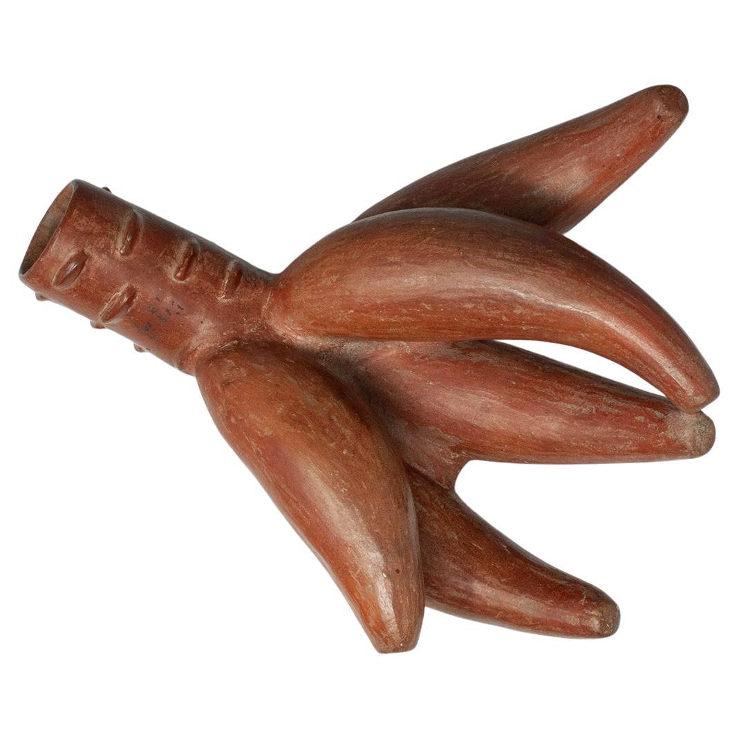 Vase Pre-Columbian en terre cuite, culture Moche, Pérou