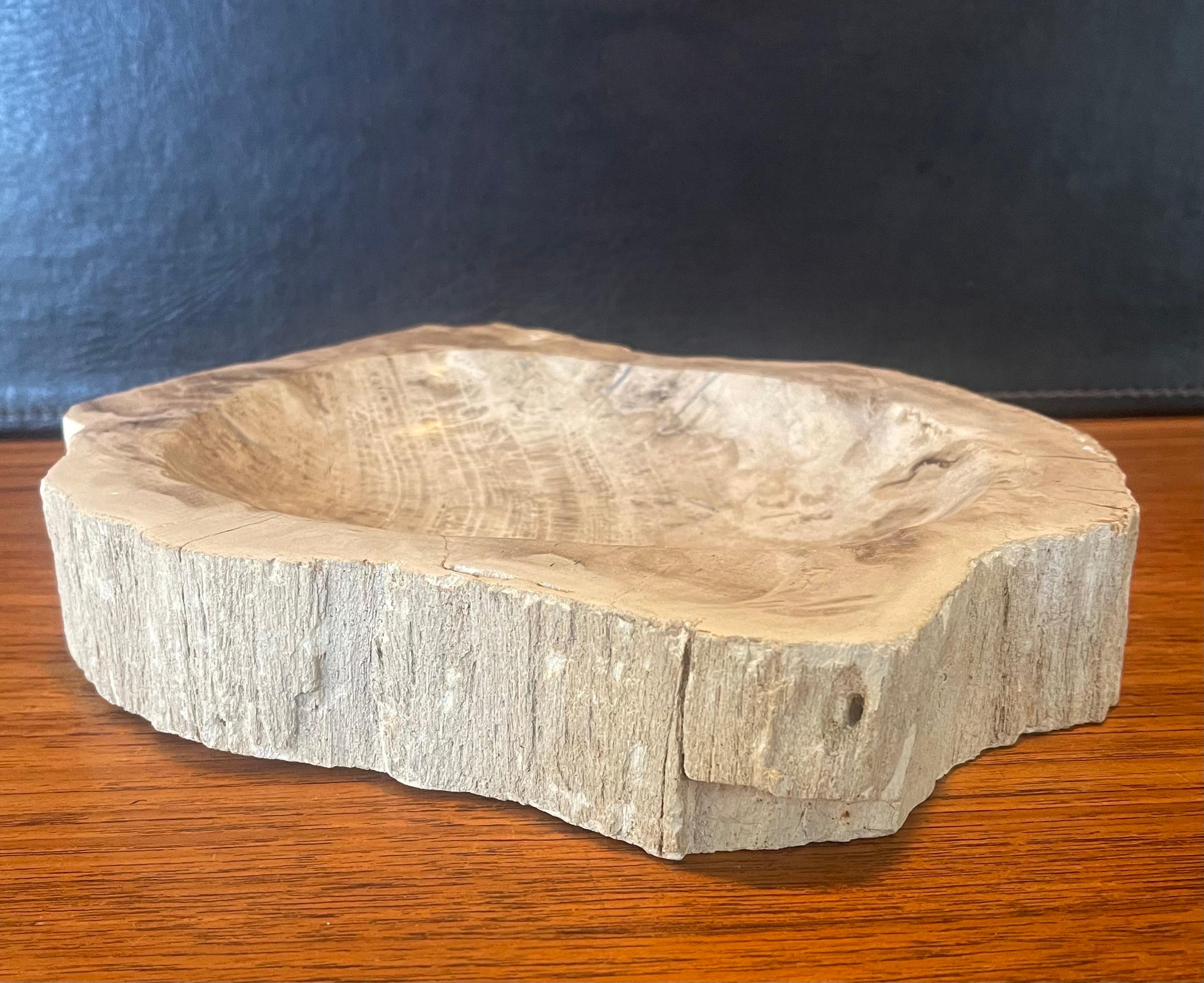 Pre-Historic Petrified Wood Bowl / Ashtray For Sale 2