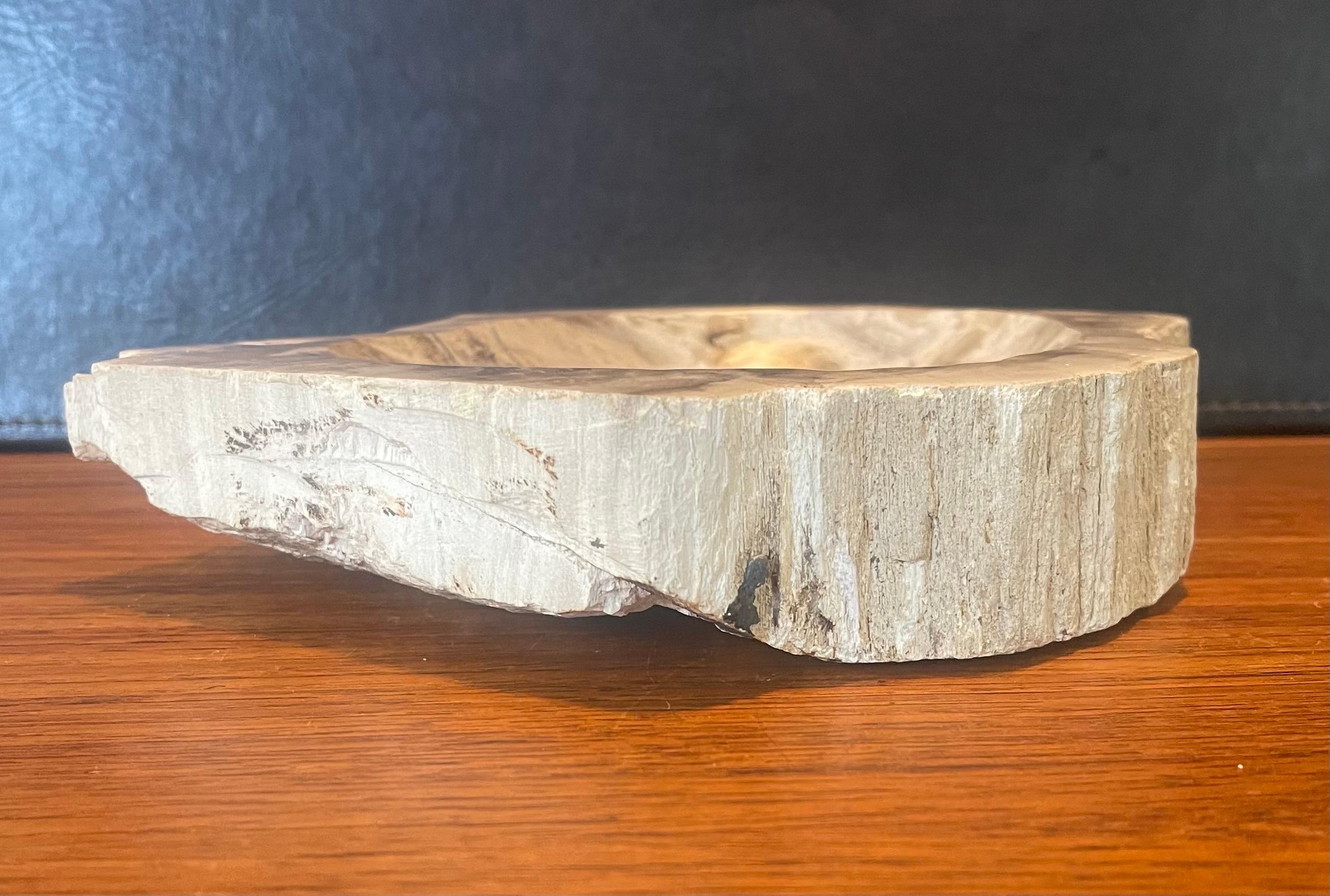 Pre-Historic Petrified Wood Bowl / Ashtray For Sale 4