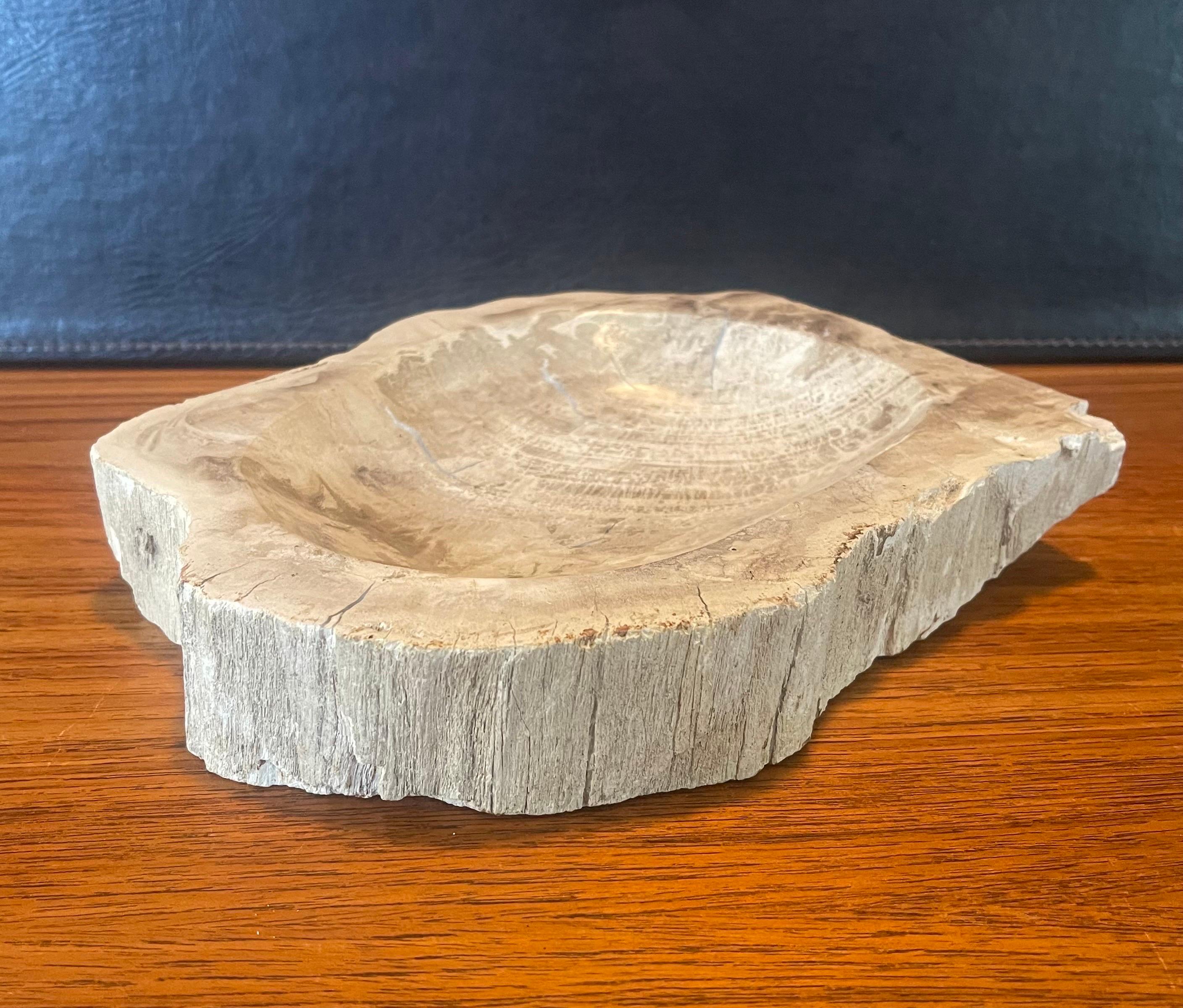 Pre-Historic Petrified Wood Bowl / Ashtray For Sale 6