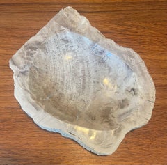 Ciotola / posacenere in legno pietrificato preistorico