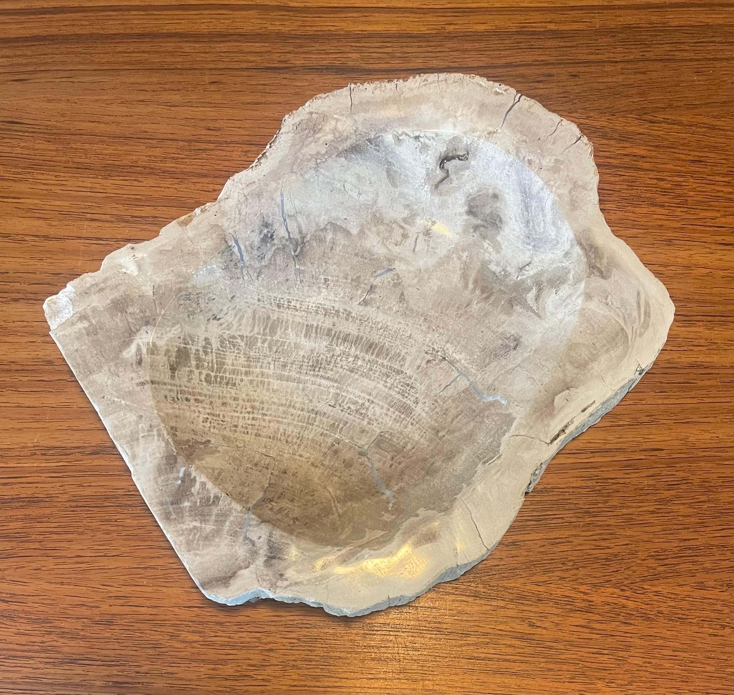 Cuenco / Cenicero de Madera Petrificada Prehistórica Moderno de mediados de siglo en venta