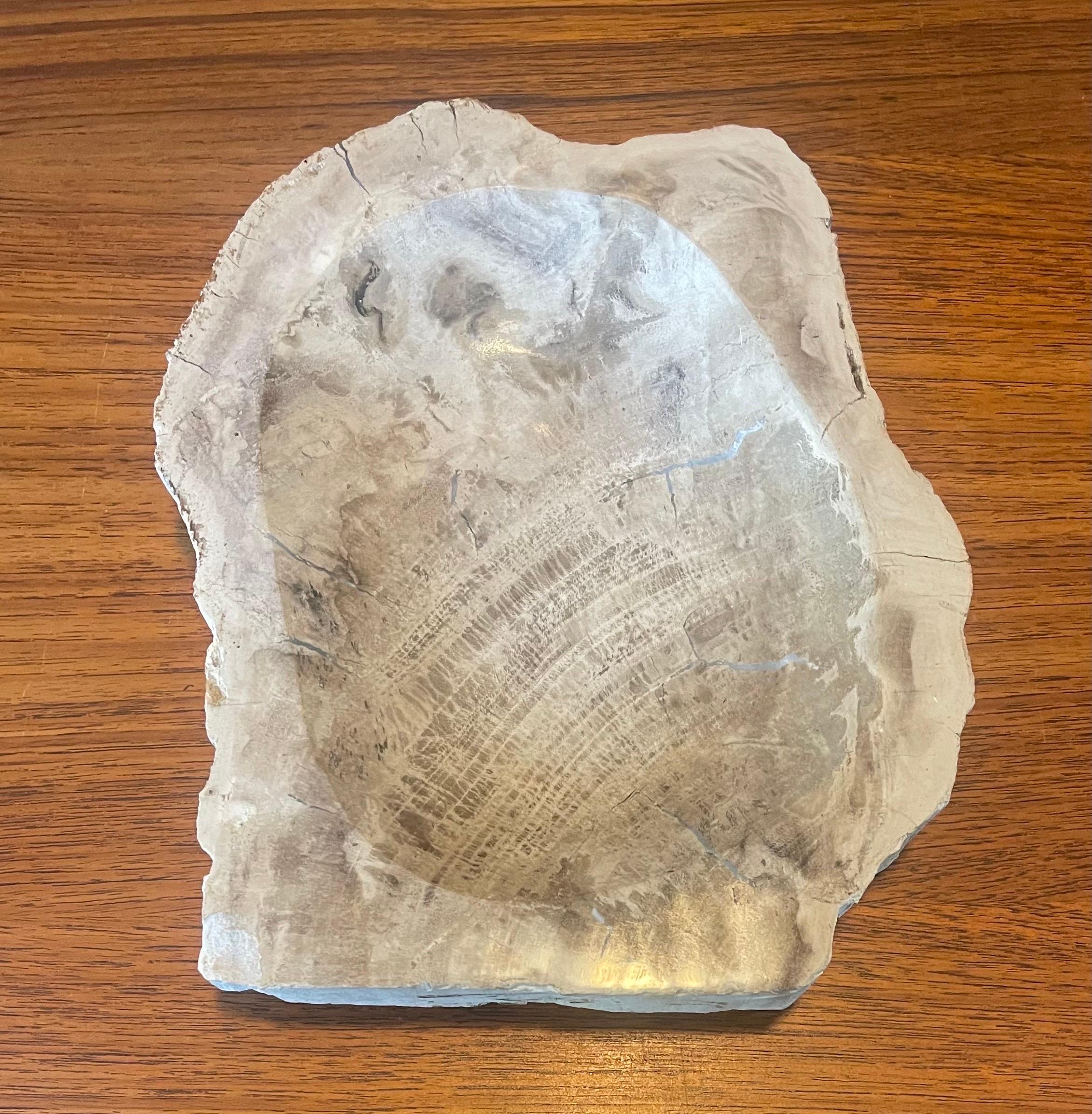 Cuenco / Cenicero de Madera Petrificada Prehistórica Indonesio en venta