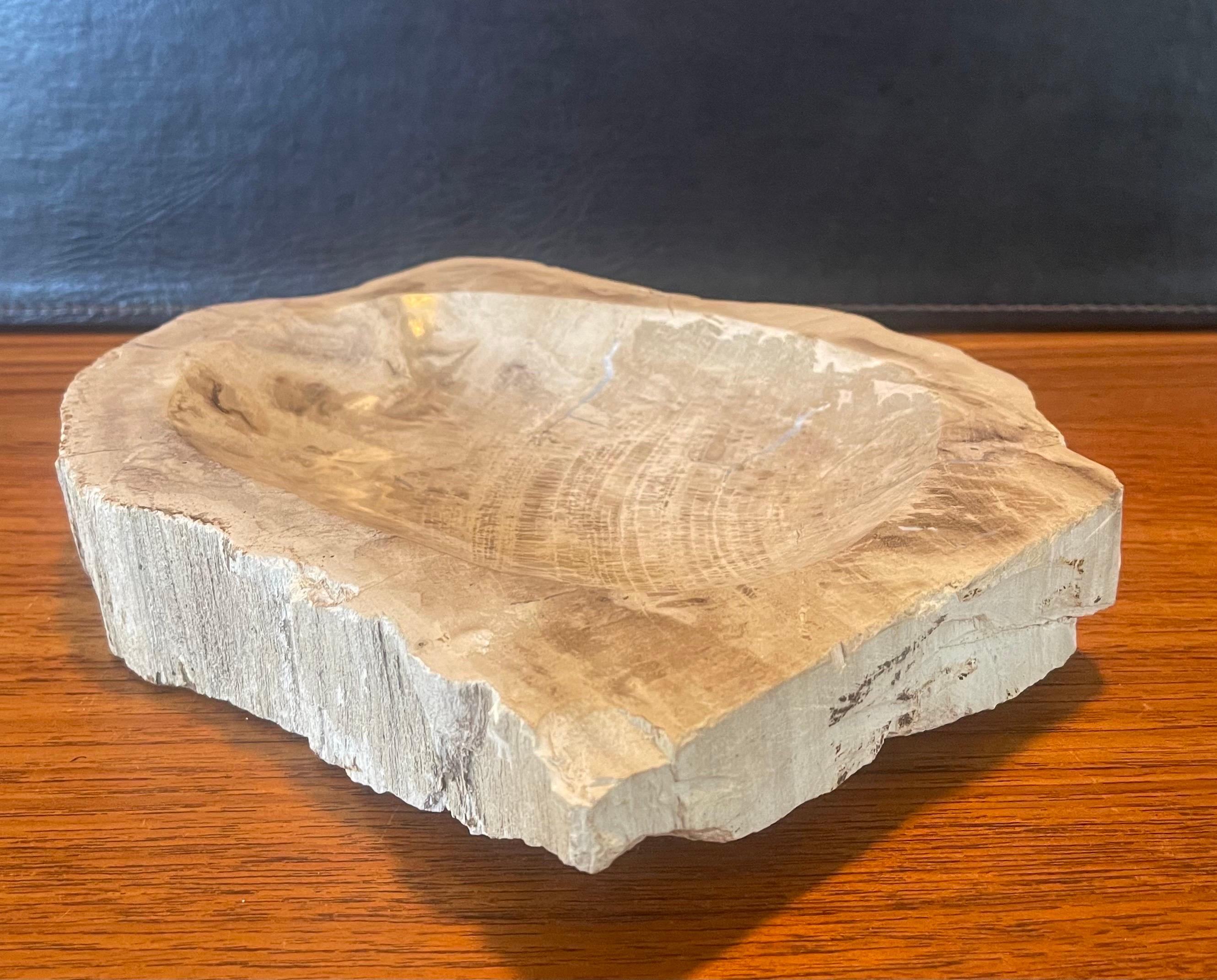 Mid-Century Modern Pre-Historic Petrified Wood Bowl / Ashtray For Sale
