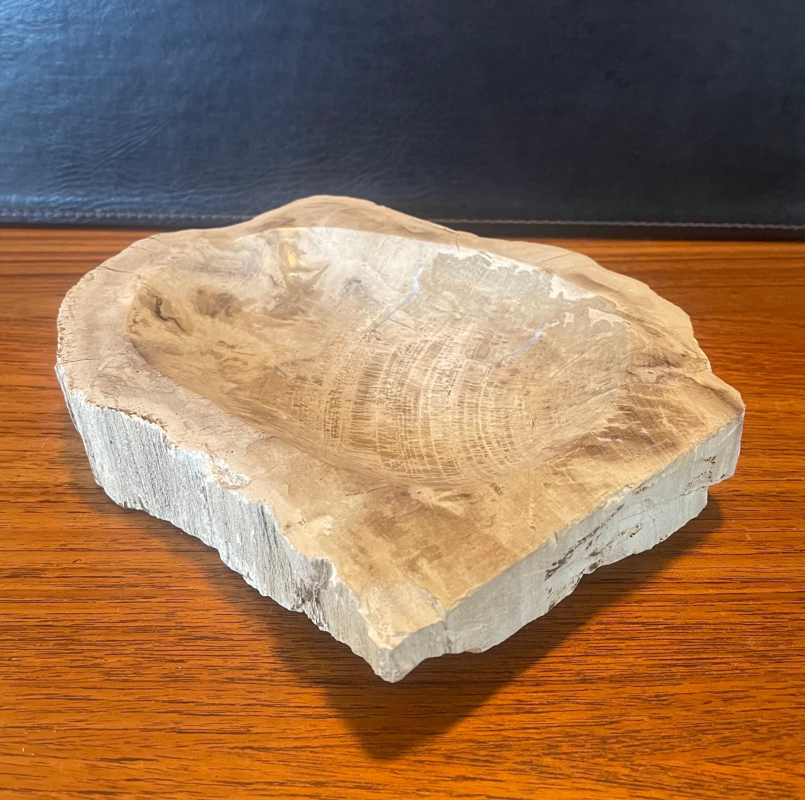 Indonesian Pre-Historic Petrified Wood Bowl / Ashtray For Sale