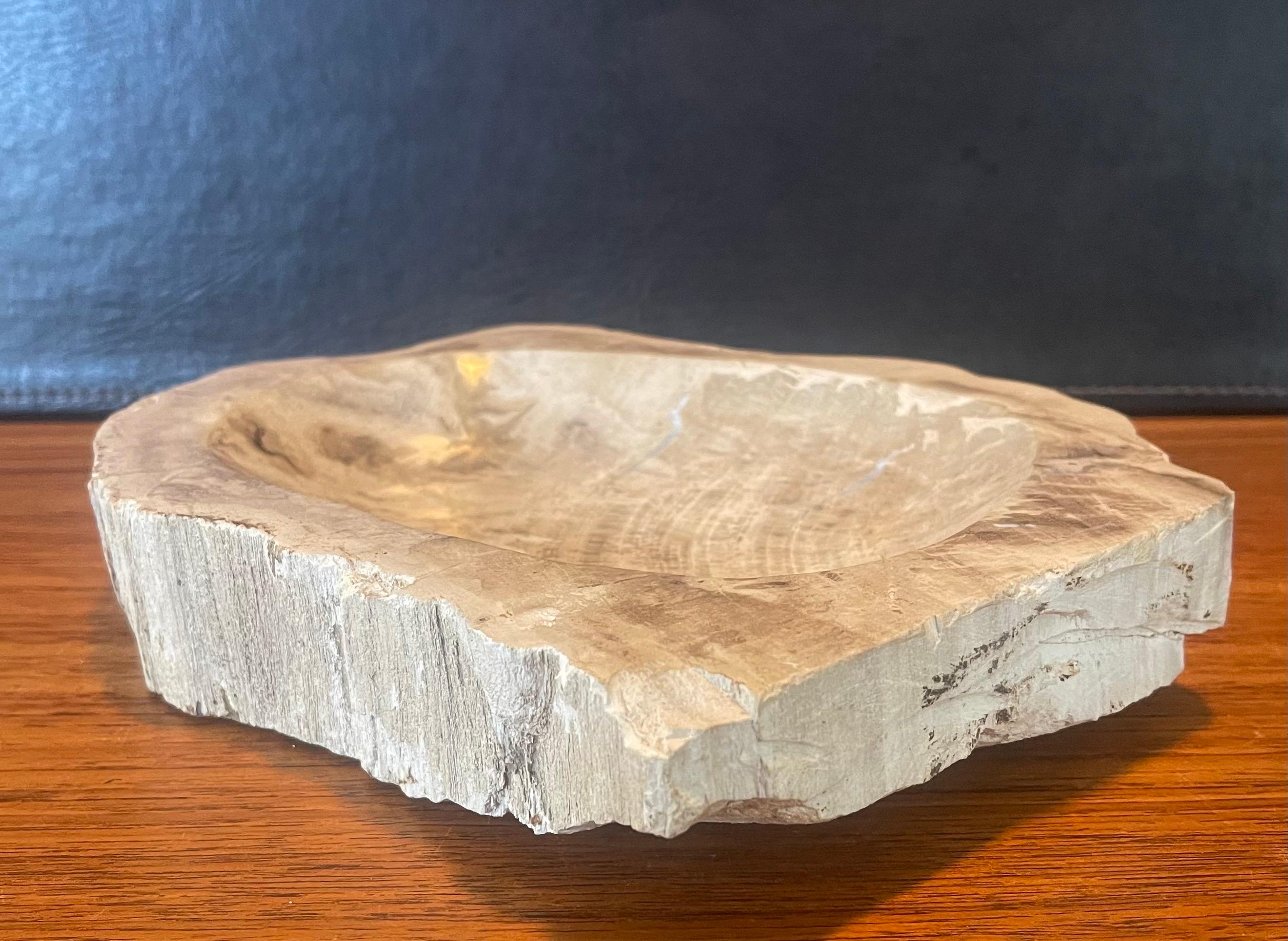Pre-Historic Petrified Wood Bowl / Ashtray In Good Condition For Sale In San Diego, CA