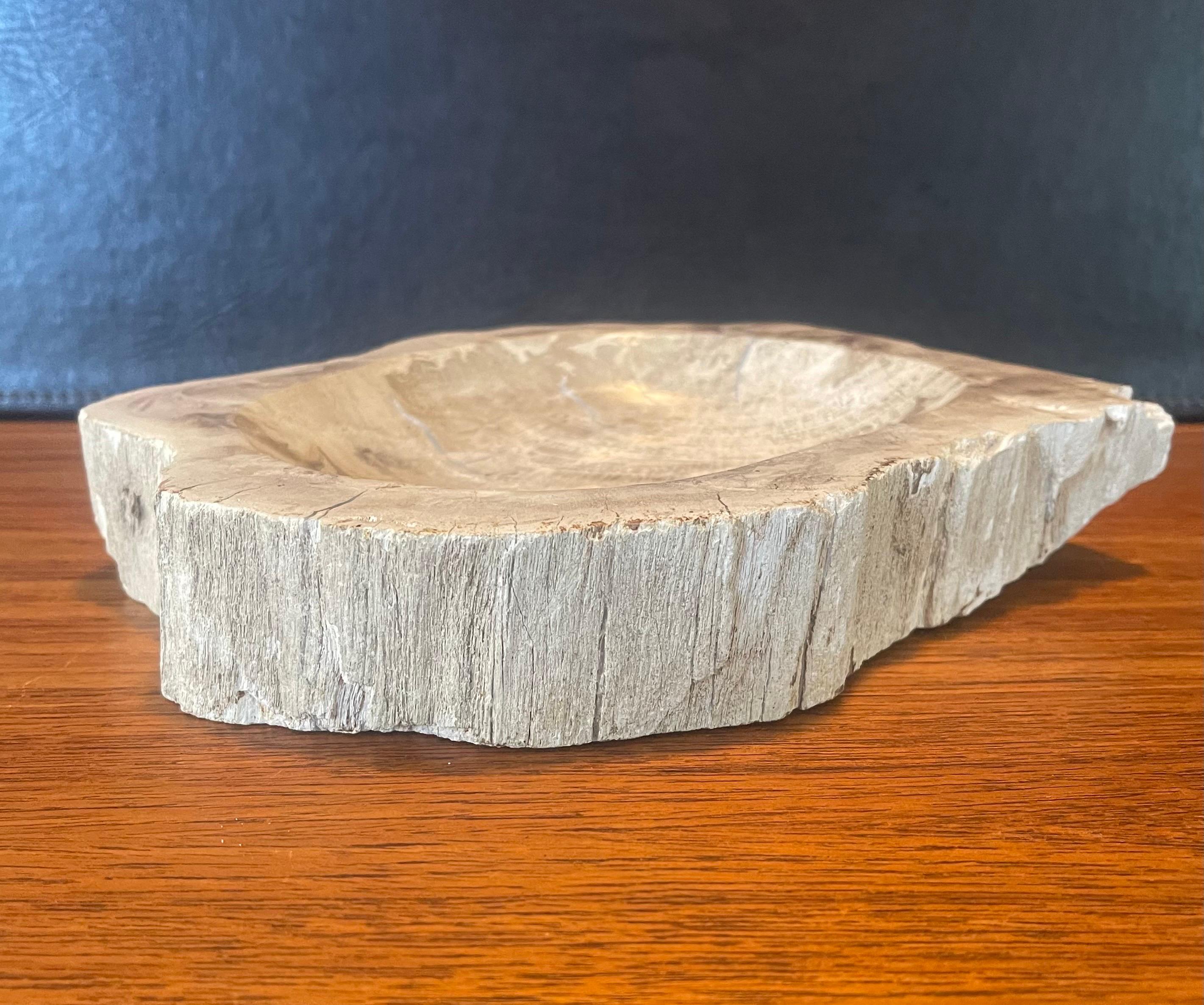18th Century and Earlier Pre-Historic Petrified Wood Bowl / Ashtray For Sale