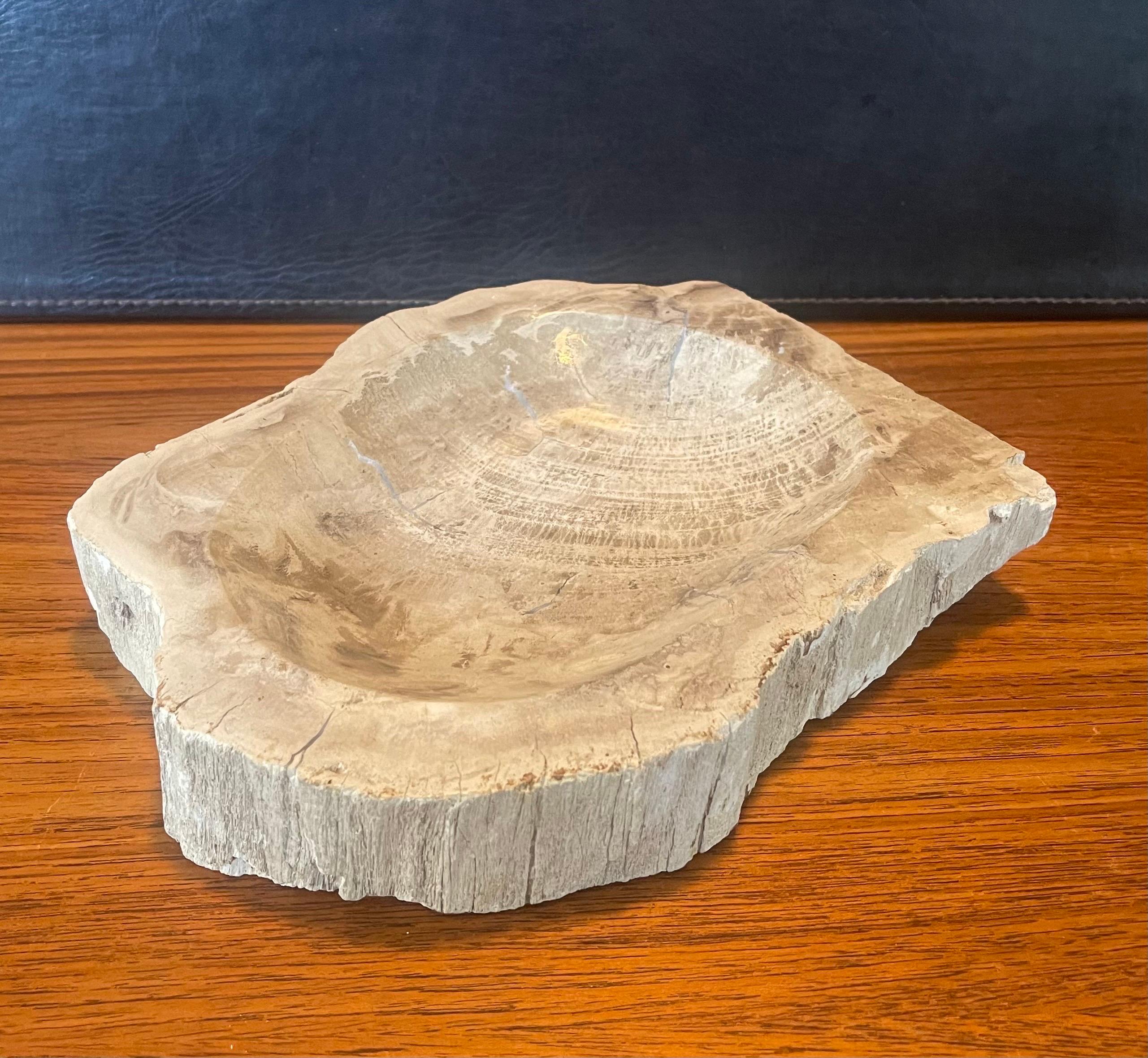 Pre-Historic Petrified Wood Bowl / Ashtray For Sale 1
