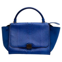 Pre-Loved Céline Women's Medium Trapèze Top Handle Bag Blue Python Leather