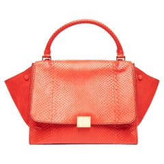 Pre-Loved Céline Women's Phython Trapeze Bag