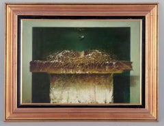 Predrag Stojanovic. Oil on canvas. Surrealist composition with bird's nest.
