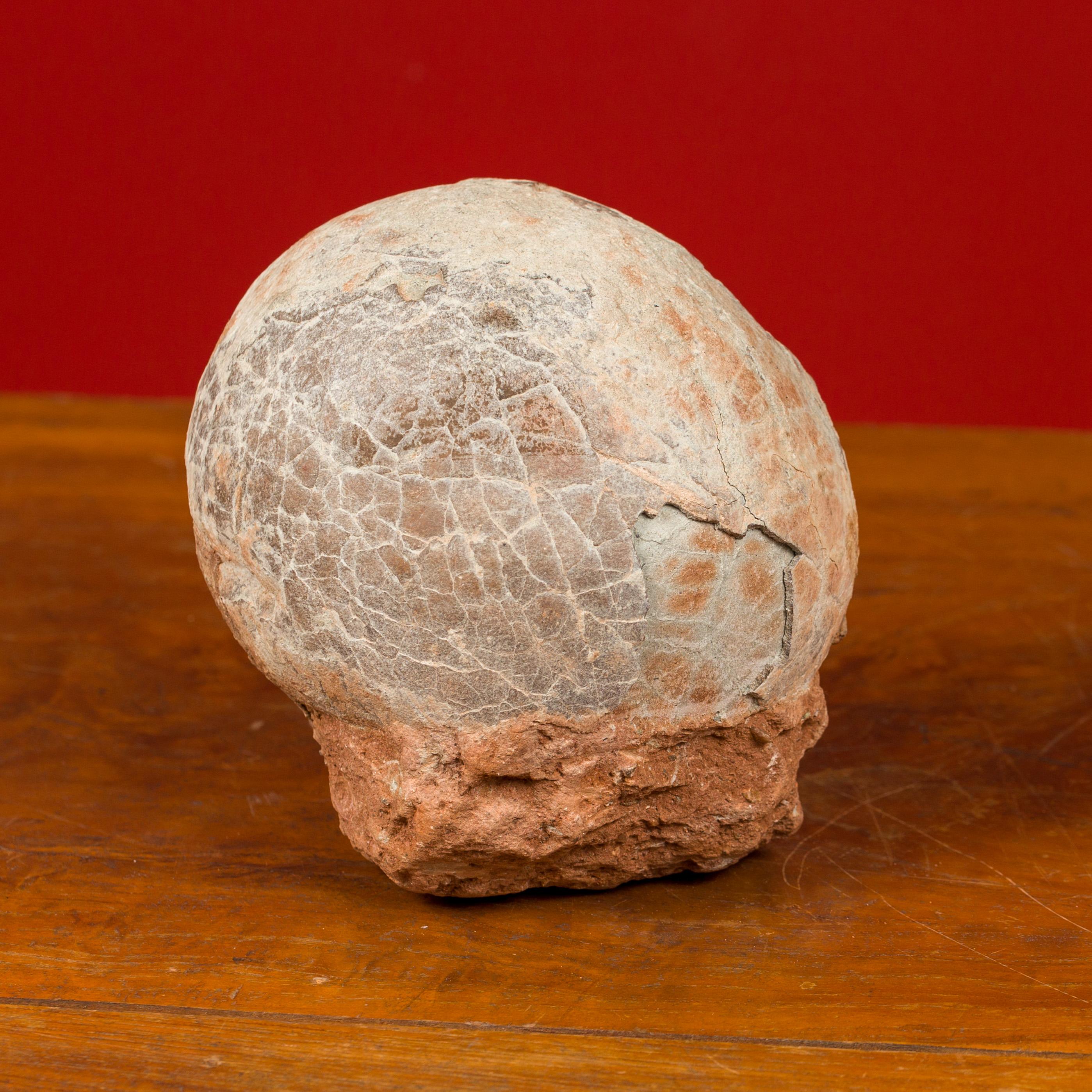Prehistoric Chinese Petrified Dinosaur Egg with Cracked Surface 3