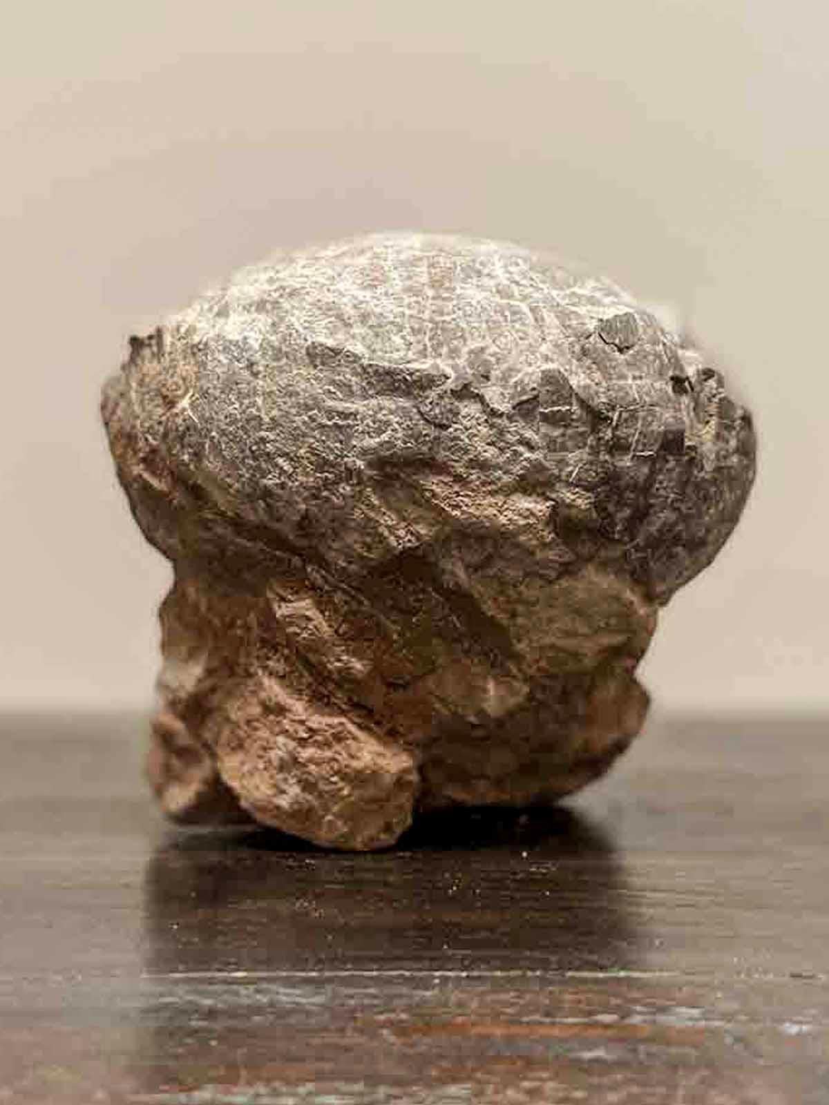 Prehistoric Chinese Petrified Dinosaur Egg with Cracked Surface 8