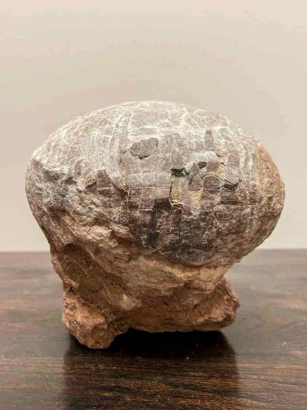 Prehistoric Chinese Petrified Dinosaur Egg with Cracked Surface 10