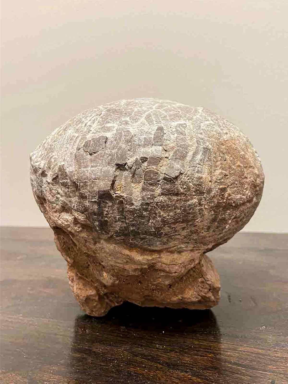 Prehistoric Chinese Petrified Dinosaur Egg with Cracked Surface 11