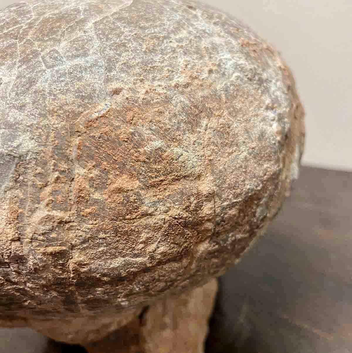 Prehistoric Chinese Petrified Dinosaur Egg with Cracked Surface 12
