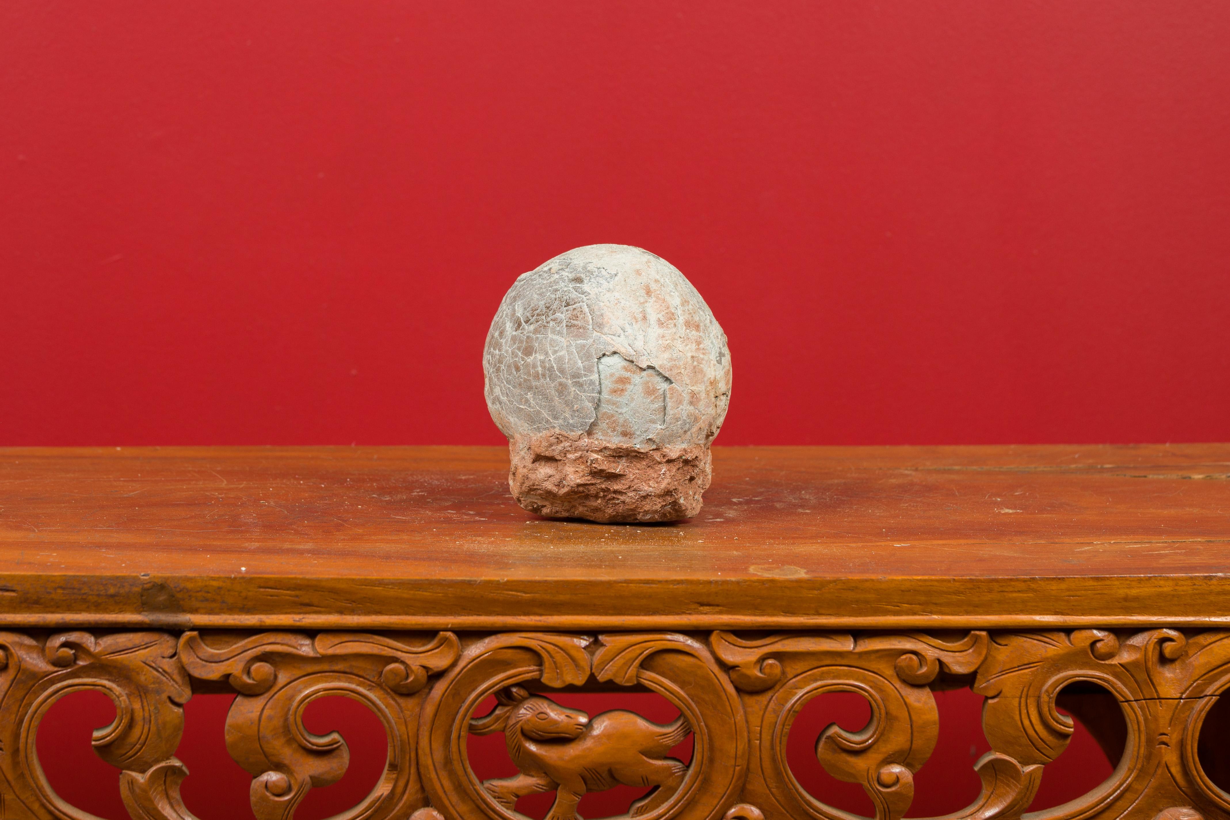 A Chinese petrified dinosaur egg. Boasting a nicely weathered appearance easily explained by its tremendous age, this petrified dinosaur egg will make for an excellent gift idea! With its ovoid shape and cracked surface, this Chinese prehistoric