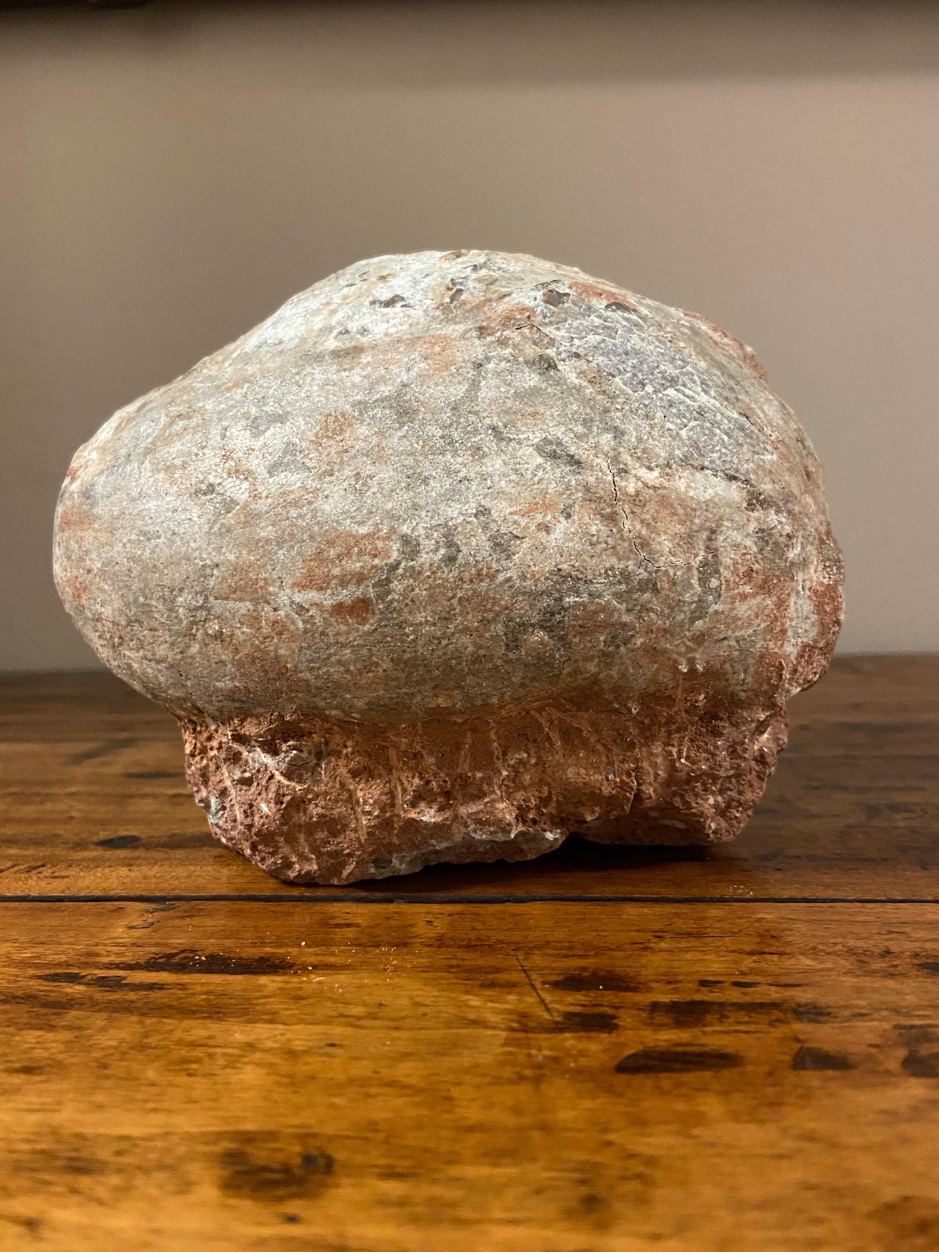 A Chinese petrified dinosaur egg. Boasting a nicely weathered appearance easily explained by its tremendous age, this petrified dinosaur egg will make for an excellent gift idea! With its ovoid shape and cracked surface, this Chinese prehistoric