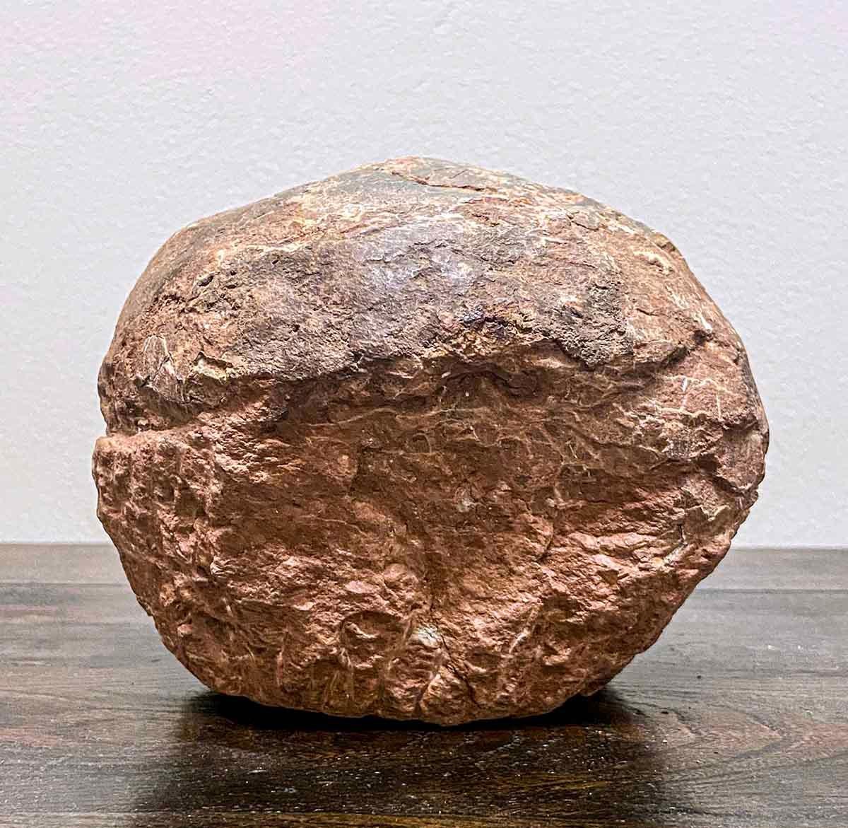A Chinese petrified dinosaur egg from the Henan Provence. Boasting a nicely weathered appearance easily explained by its tremendous age, this petrified dinosaur egg will make for an excellent gift idea! With its ovoid shape and cracked surface, this