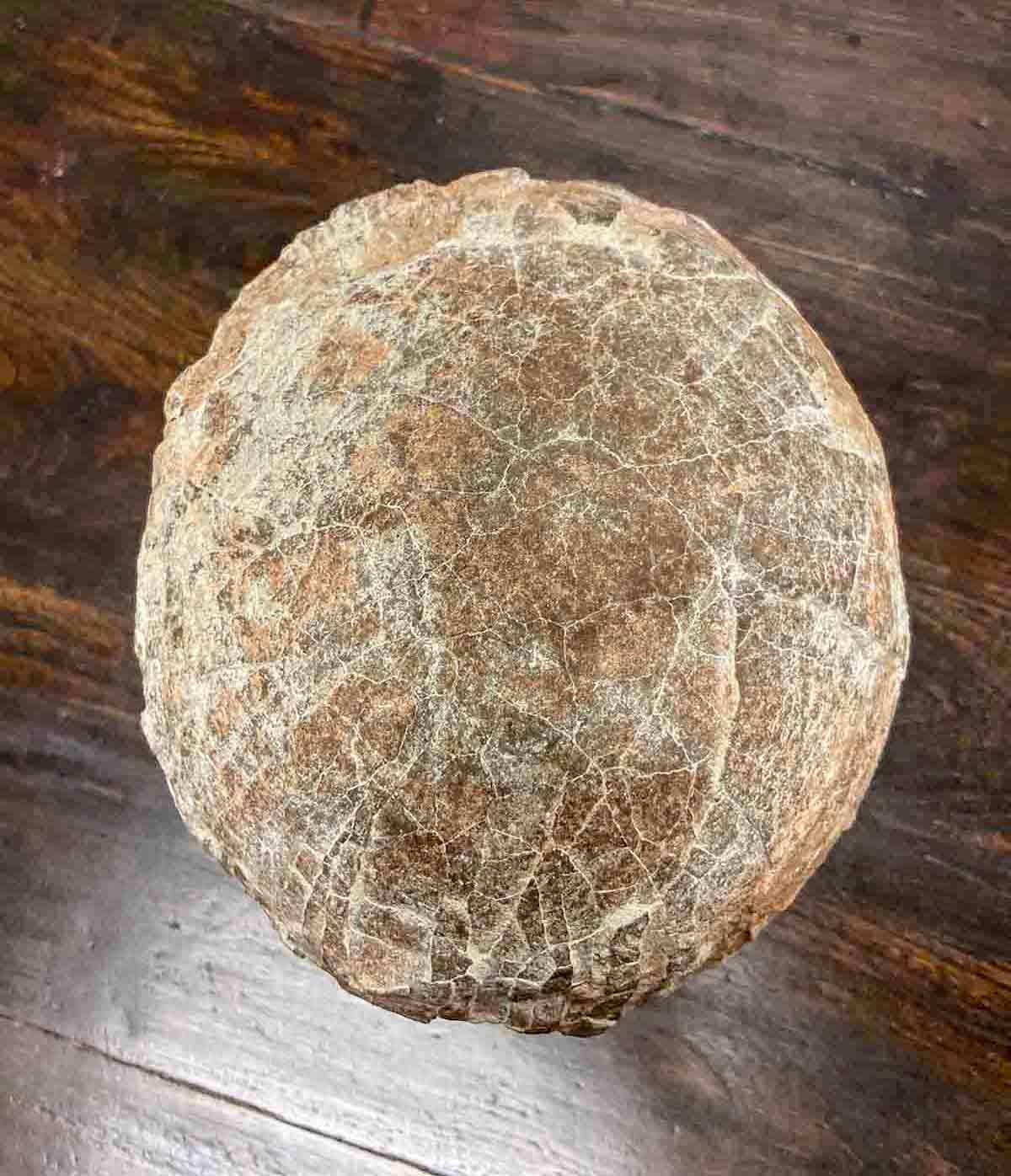 Prehistoric Chinese Petrified Dinosaur Egg with Cracked Surface 14